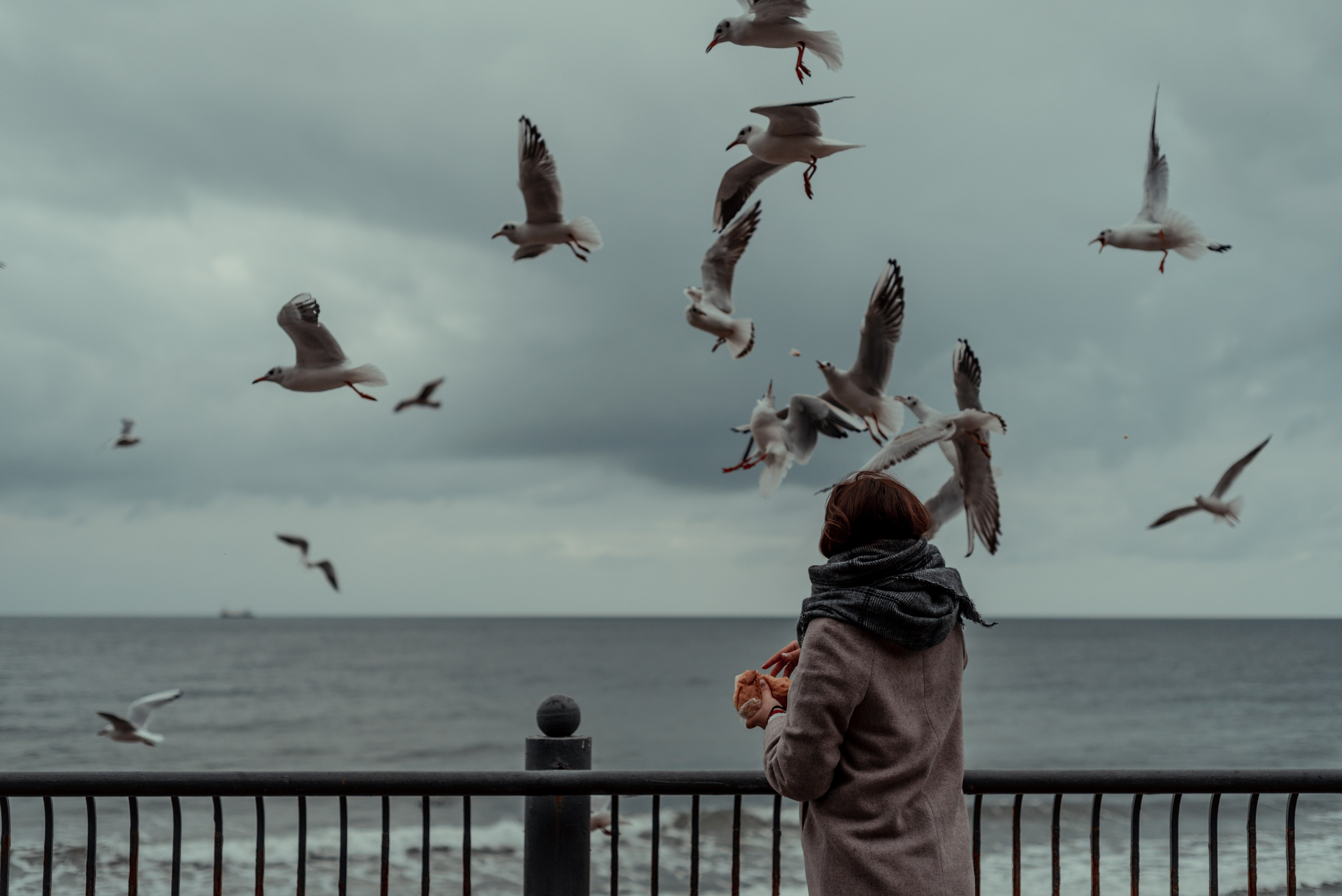 Калининград и его область: через объектив рекламного фотографа из Гуанчжо. Коммерческий и предметный фотограф в Гуанчжоу Коваленко Александр