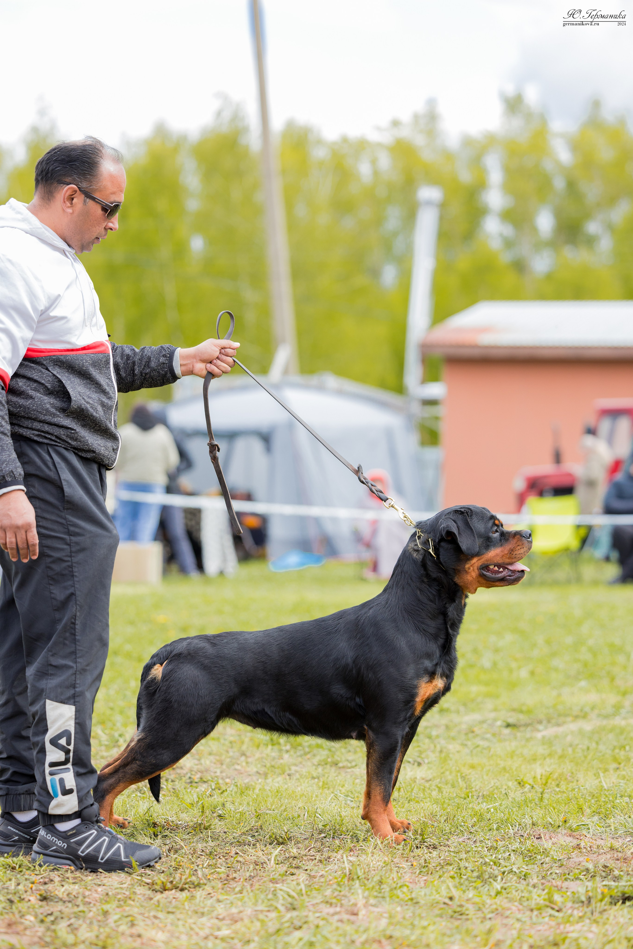 Нижний Новгород 11-12.05.2024 моно ротвейлеров. Фотограф-анималист Юлия Германика