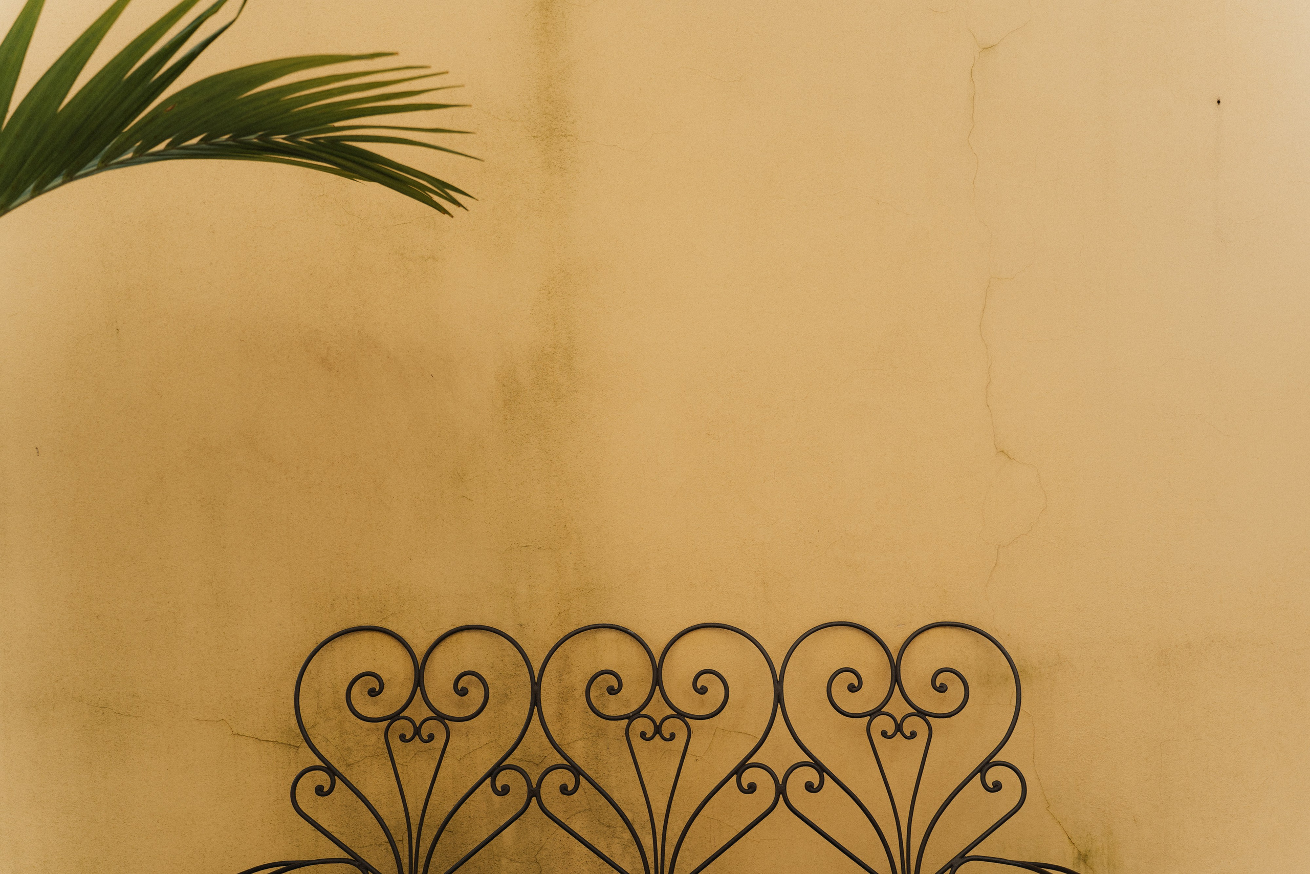 Palazzo Guiscardo | Pietrasanta