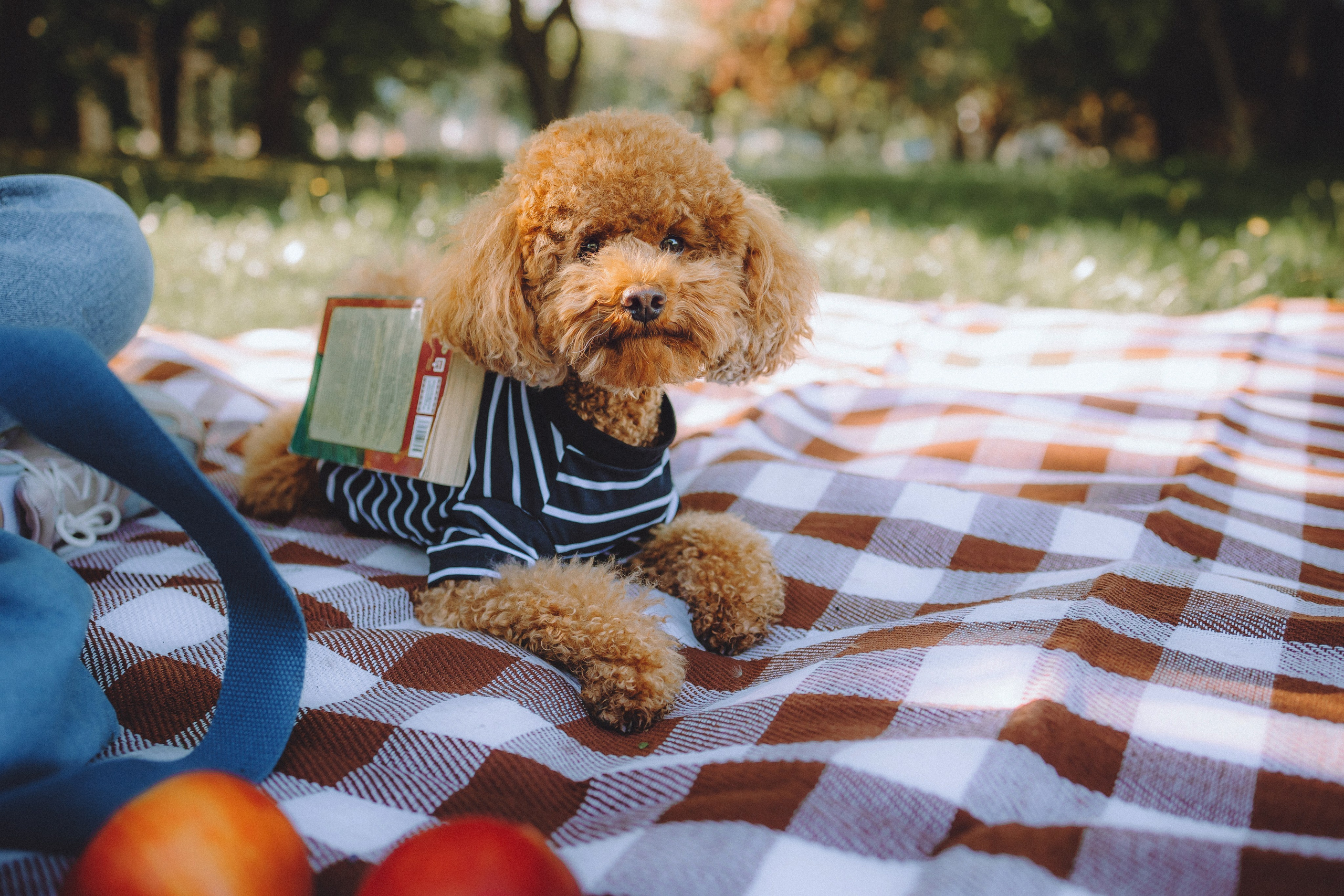 Марья и Буба