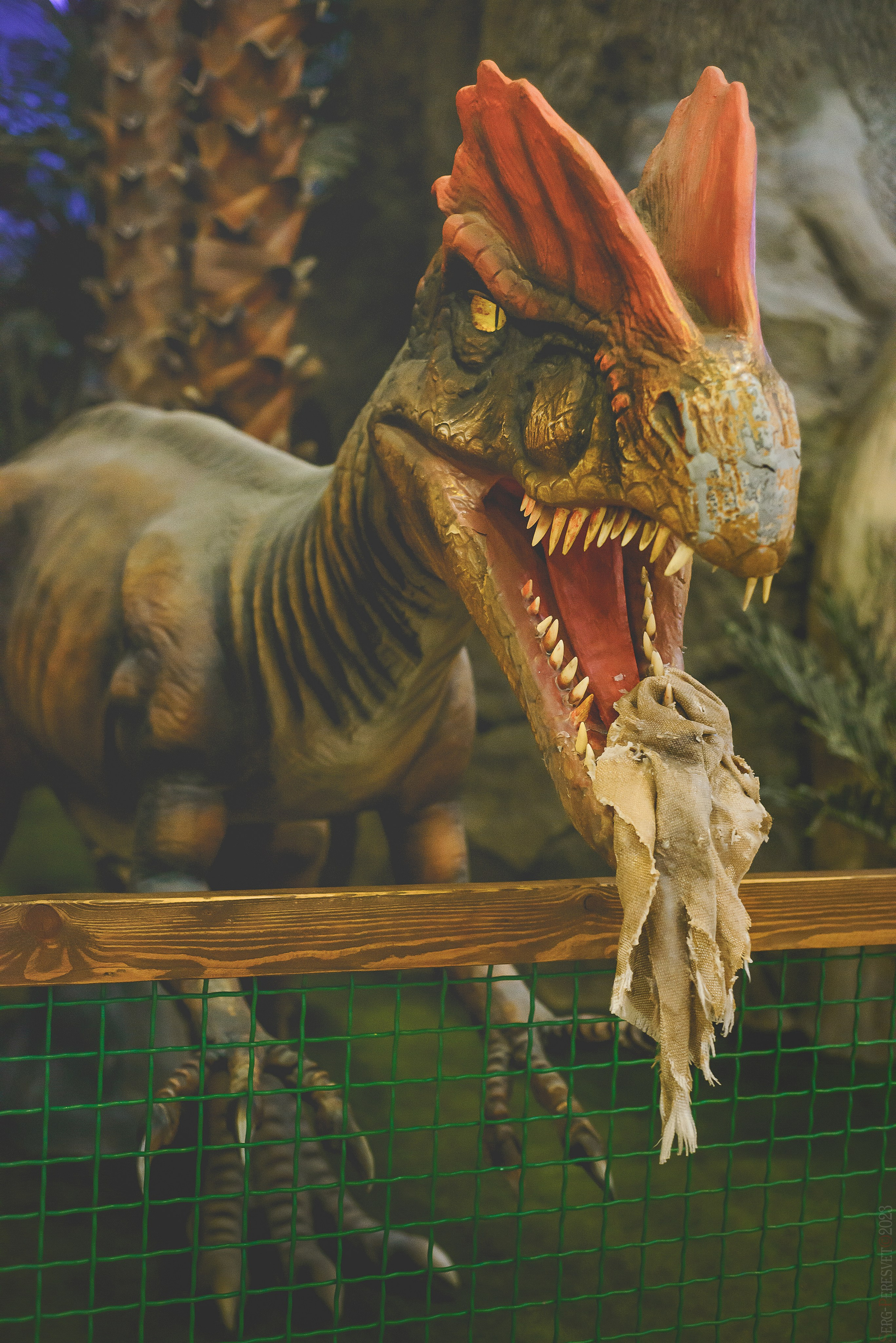 «Остров мечты» парк развлечений, Детский день рождения, Москва. Ваш фотограф на праздник в Москве, Раменском, Жуковском, Люберцах