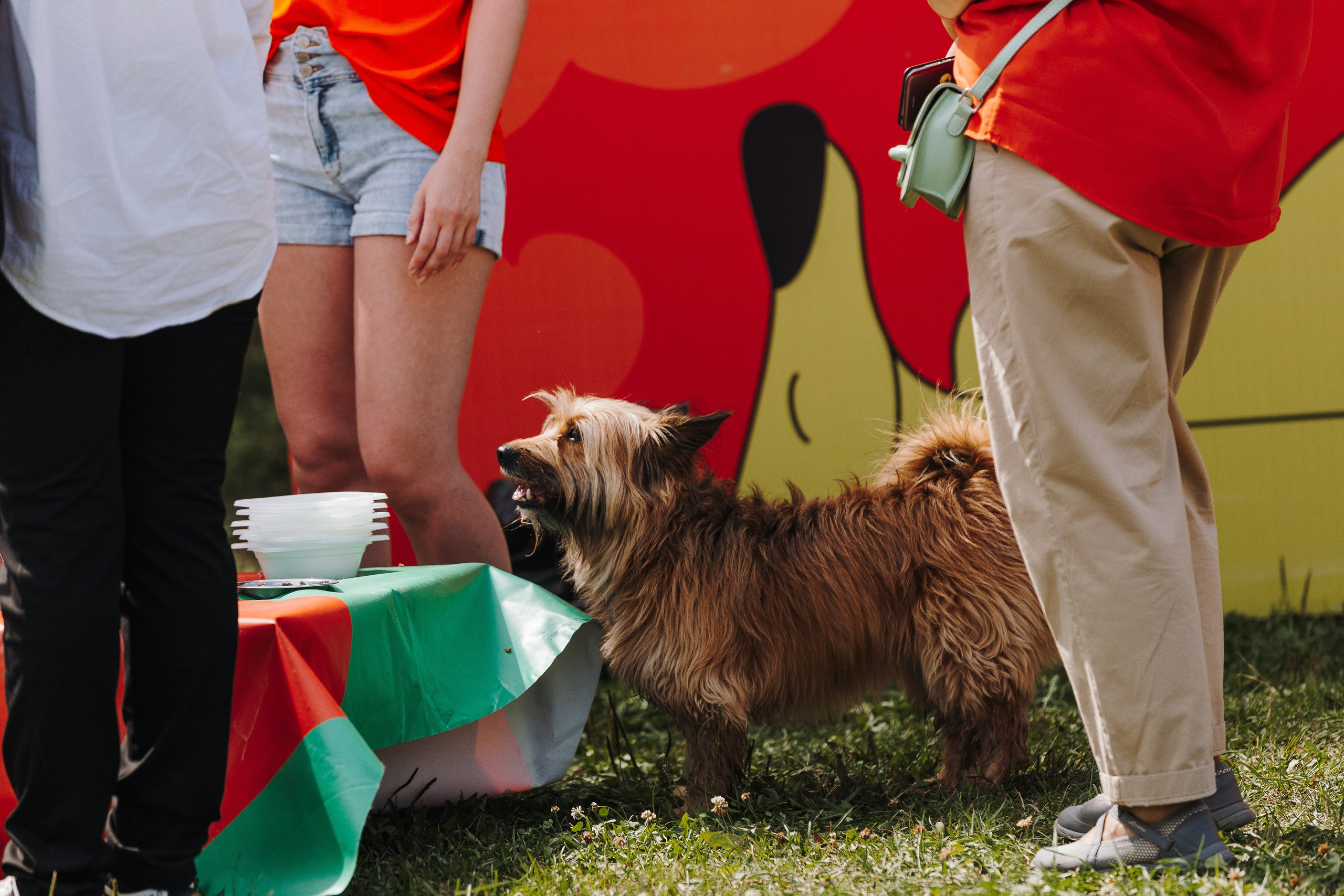 Petshop Sup day. Фотограф анималист Кристина Карпова, Москва
