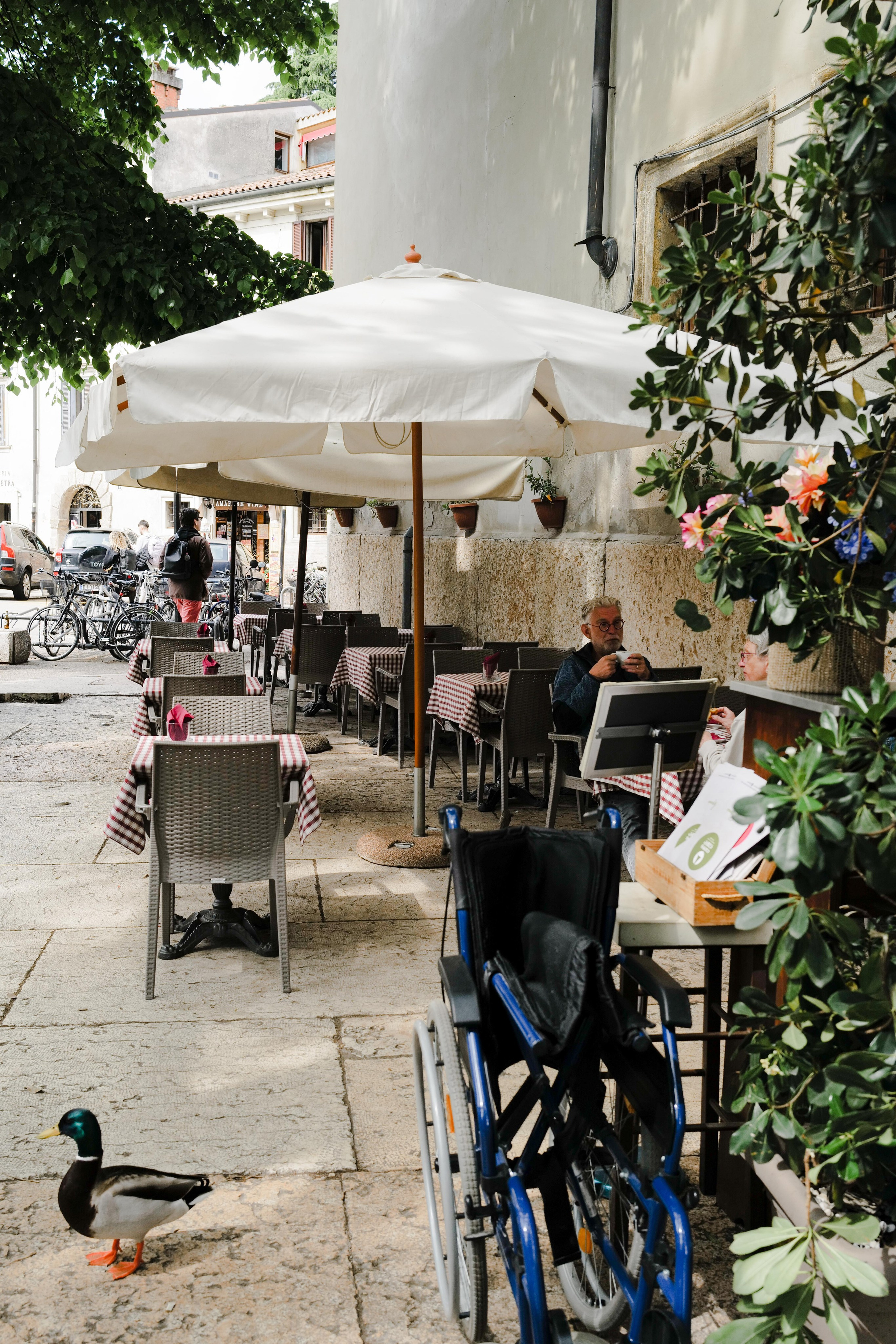 Venice. Фотограф Евгения Добротворская