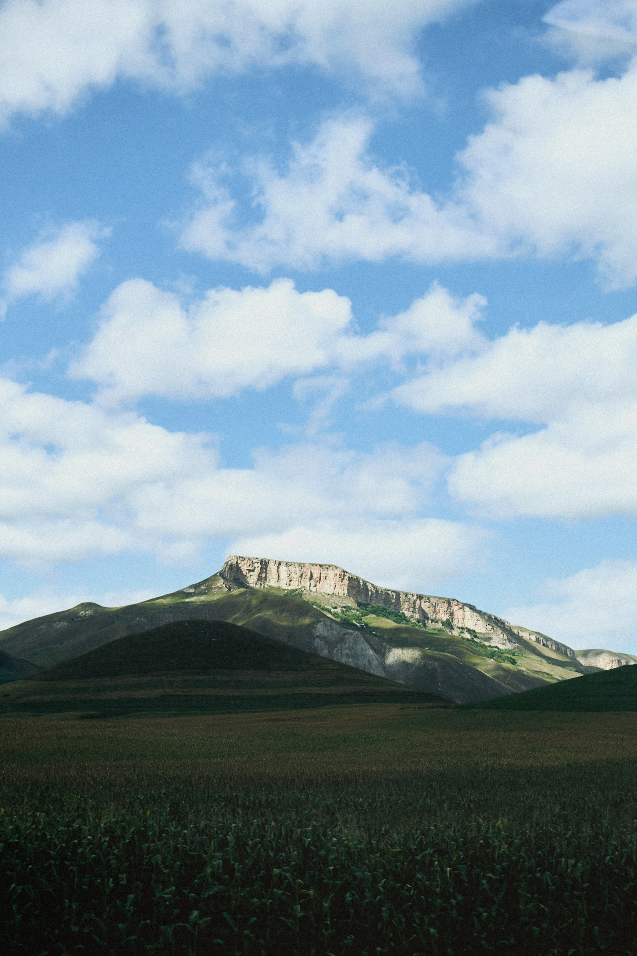 Kavkaz. SHILOVA PHOTO. Шилова Екатерина. Фотограф. Москва