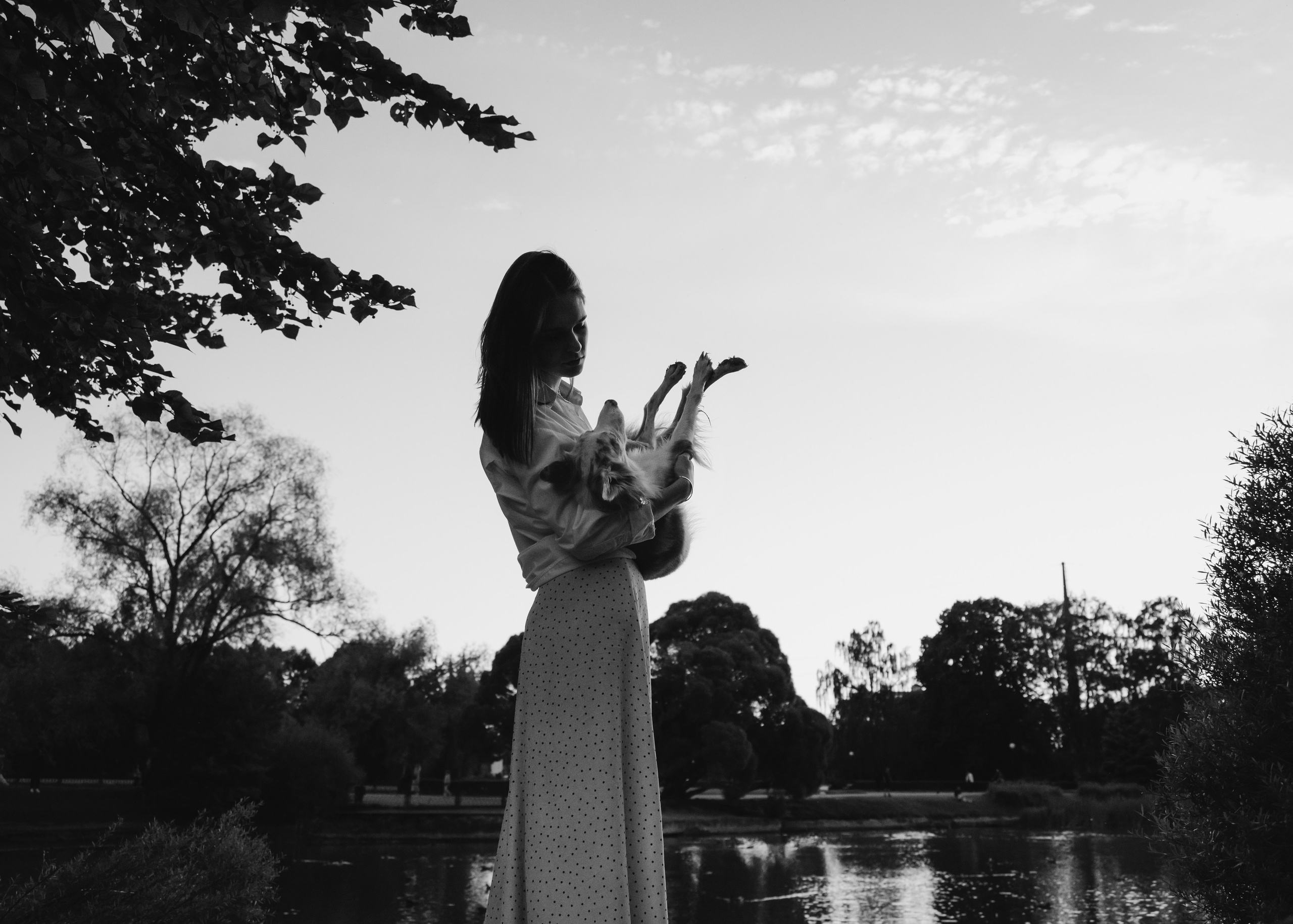 Вэй. Фотограф- анималист Александра Матвеева