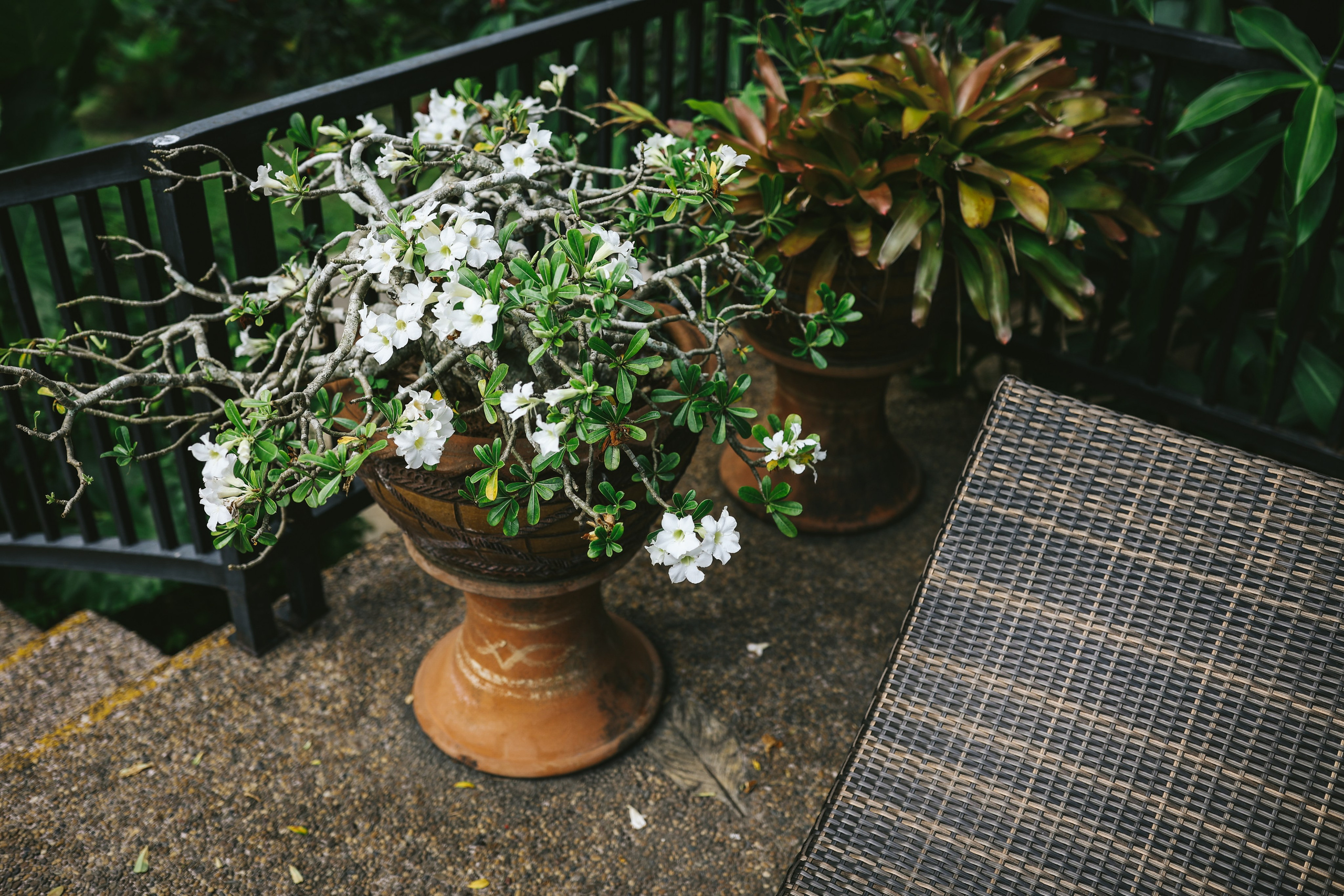 Thailand / Ban Sainai Resort. Ekaterina Buneeva Photography
