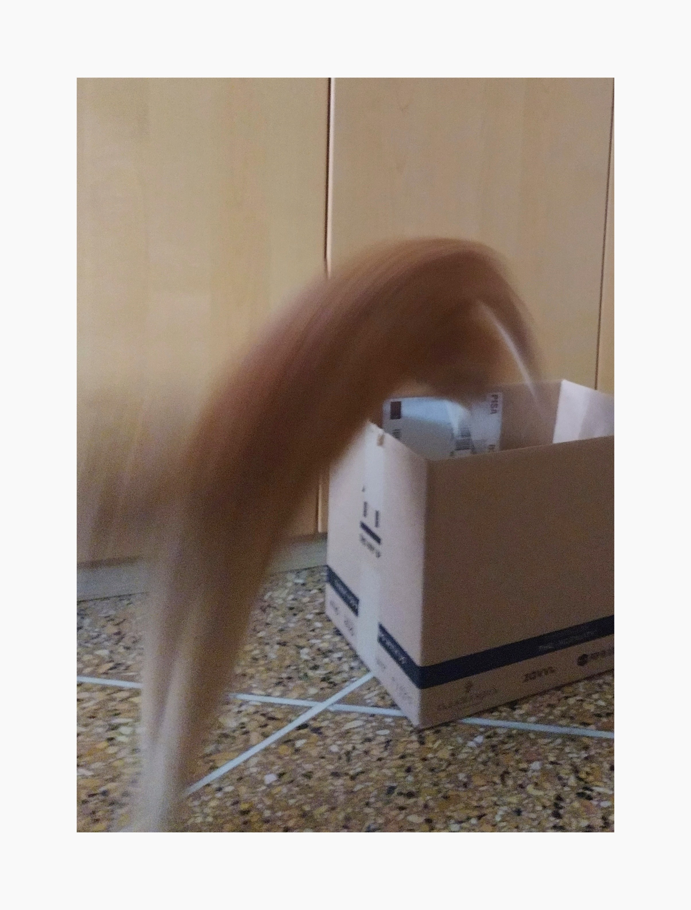 Автор: Ксения Паршина