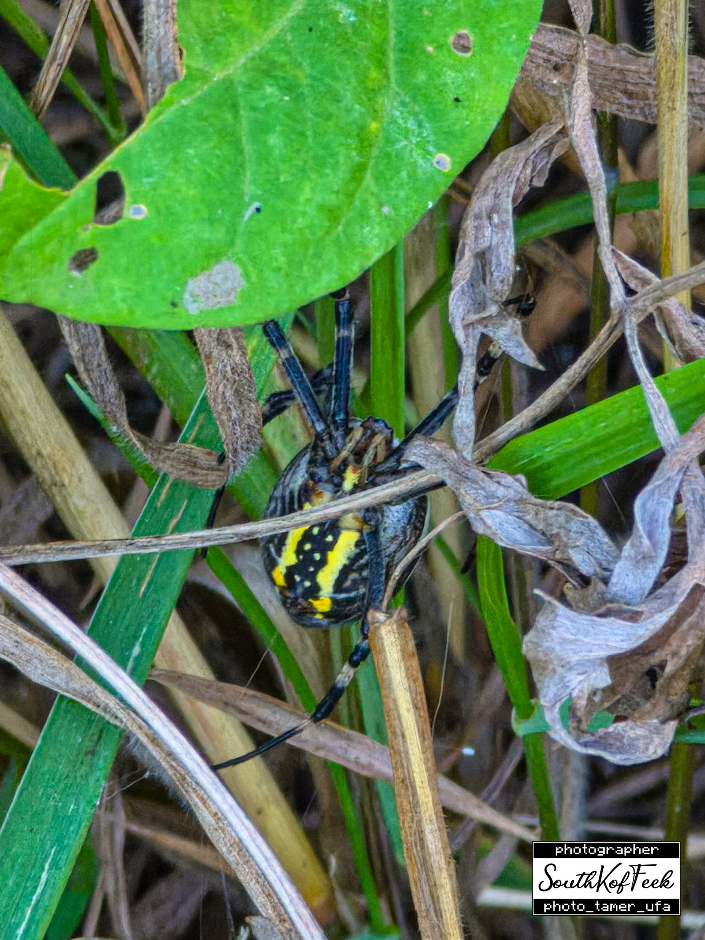 Фотосессии животных. Photo Tamer Ufa