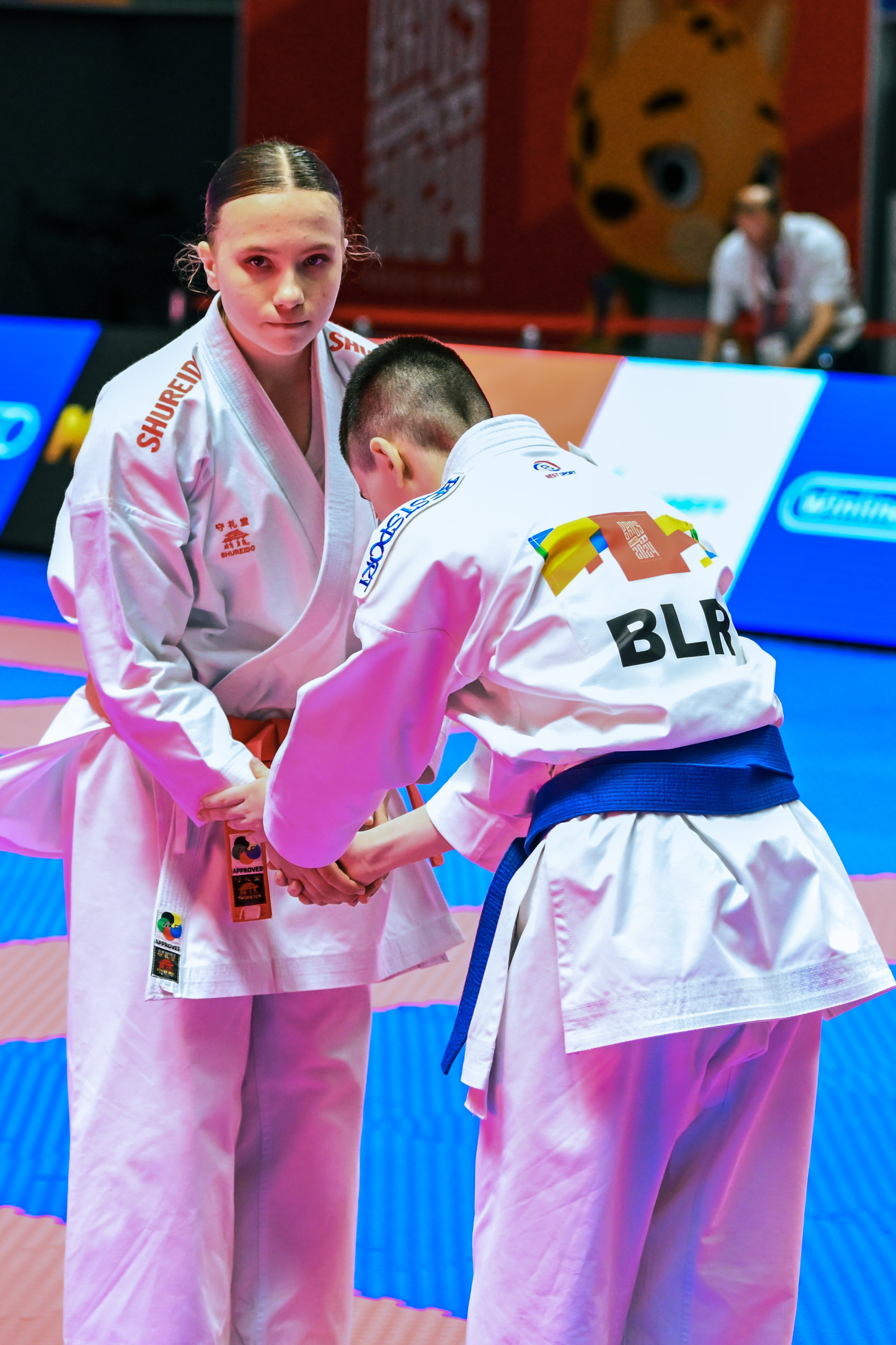 Каратэ «Спортивные игры стран БРИКС». Спортивный и репортажный фотограф в Казани Вячеслав Сатонин