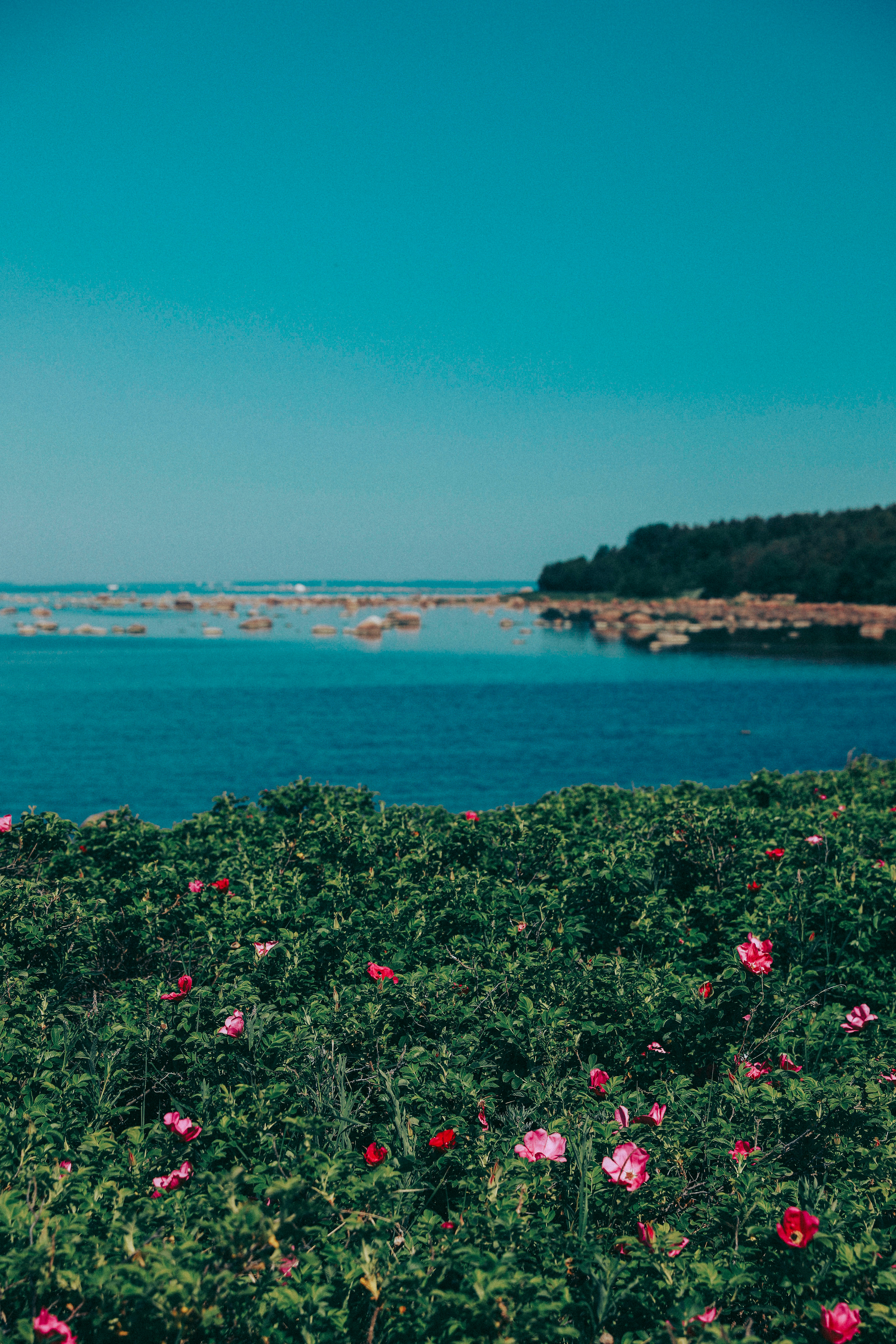 Наташа, Соня, Лиза. Фотограф в Москве Шаганова Нина