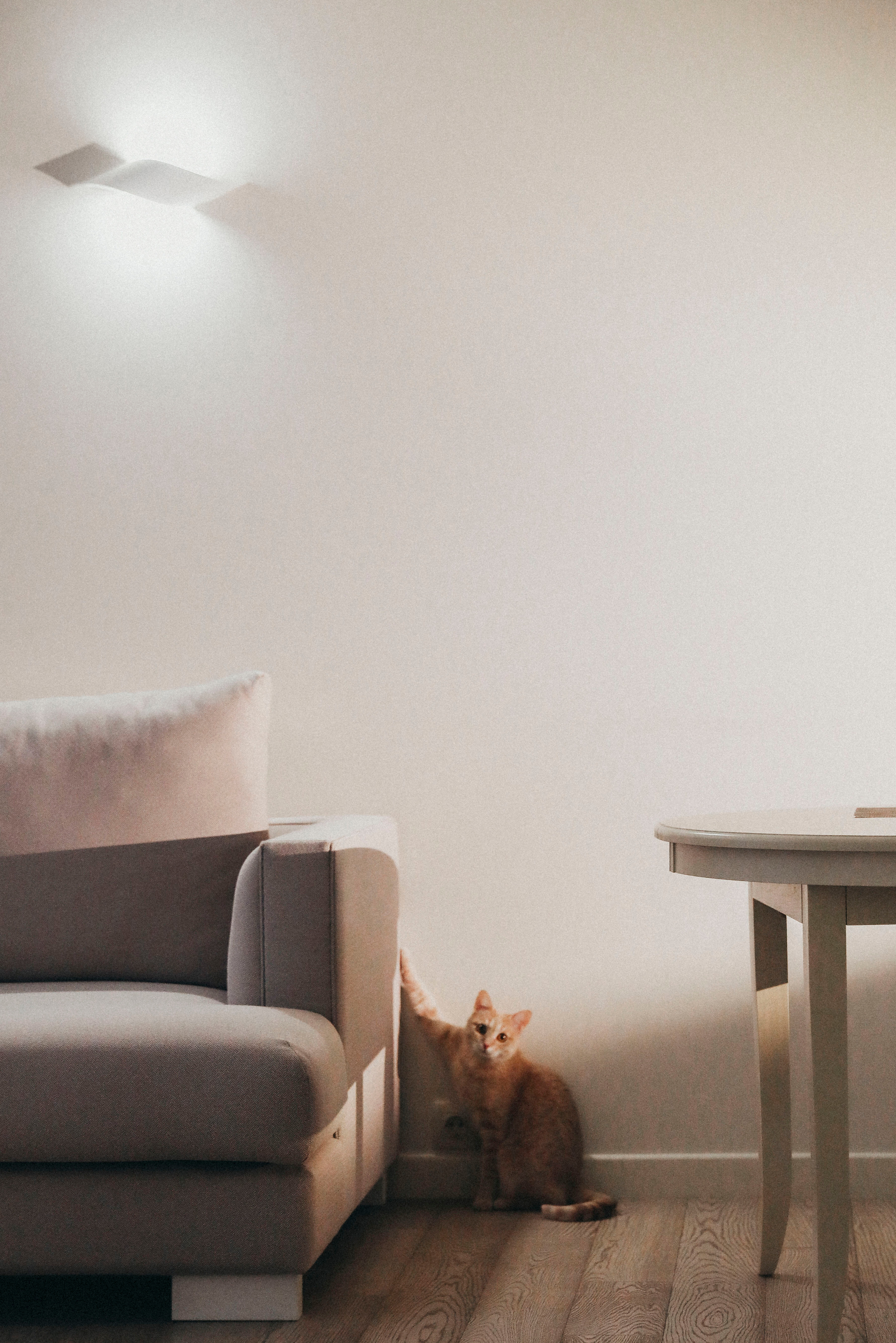 Ангелина и Максим. Фотограф в Москве Шаганова Нина