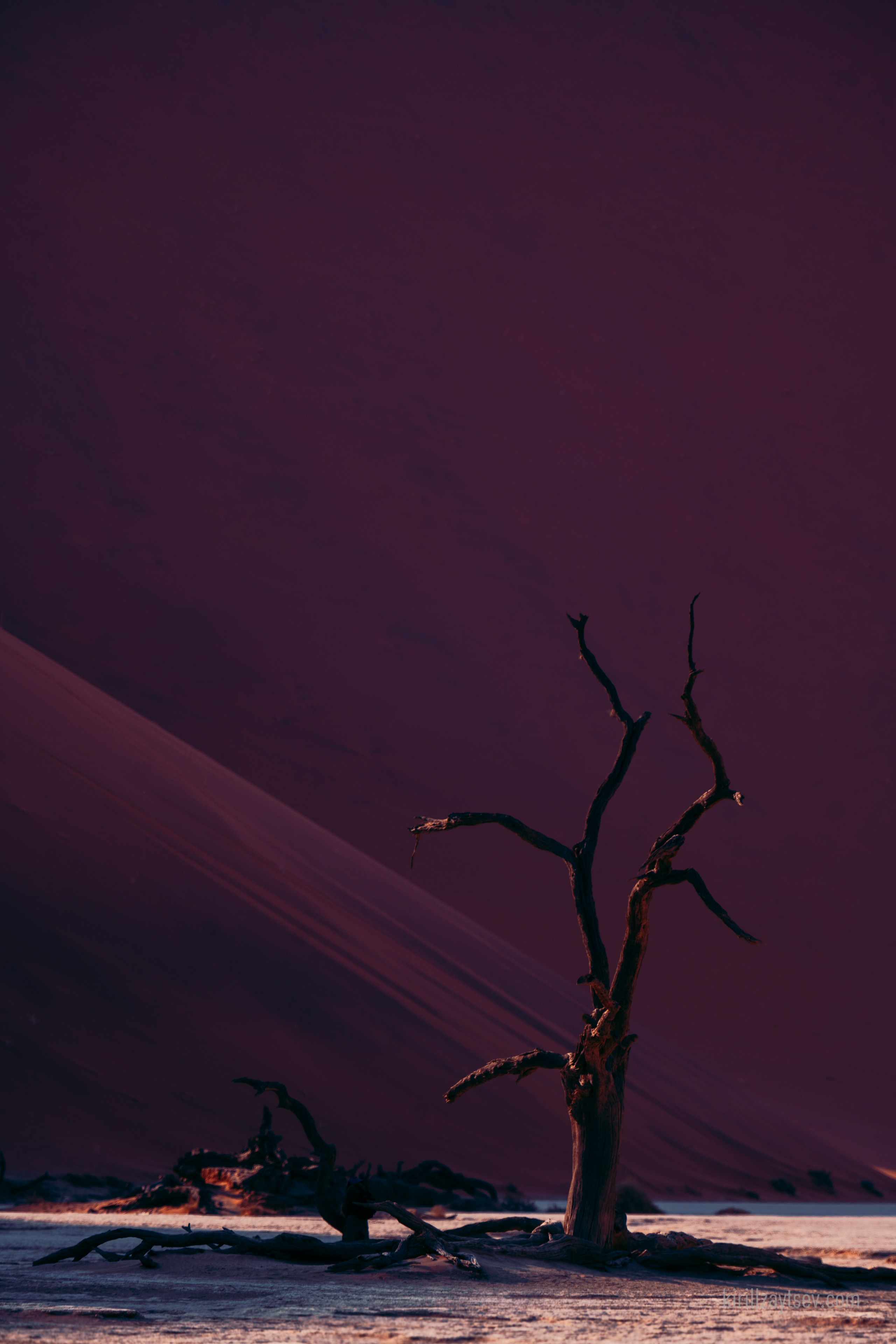 Жизнь. Профессиональный фотограф Кирилл Зайцев