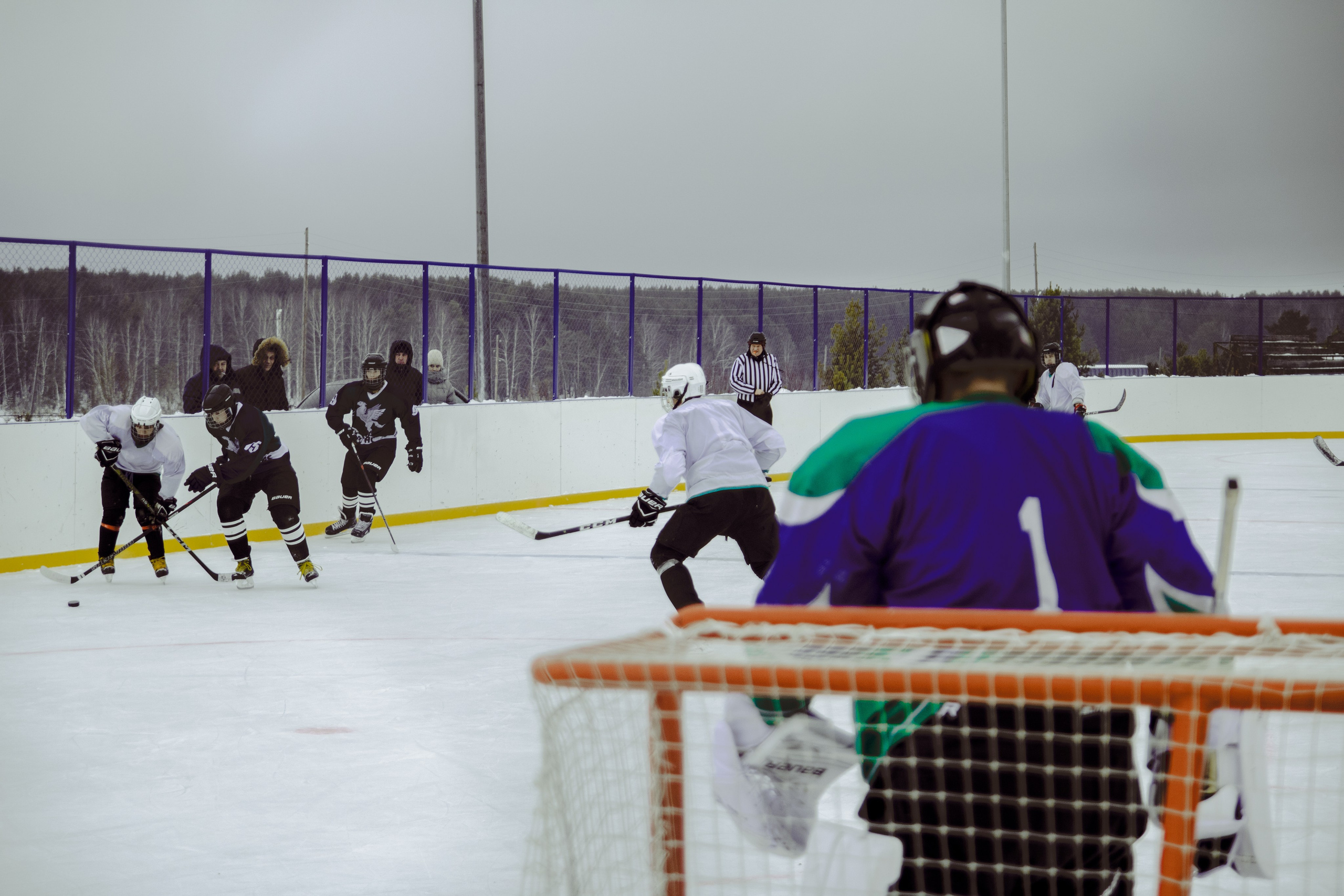 Хоккей 29.12.2024