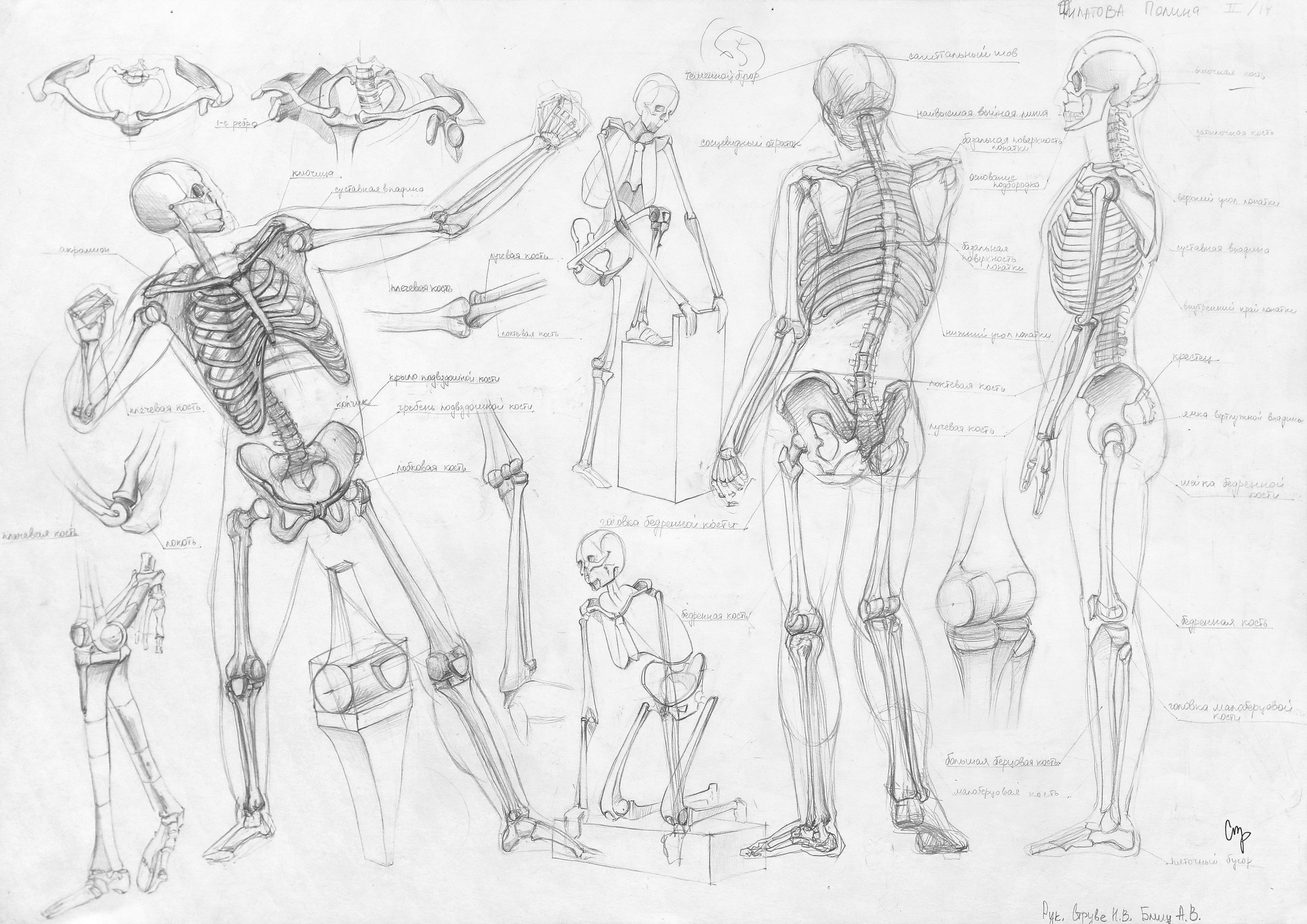 Работы студентов. Главная