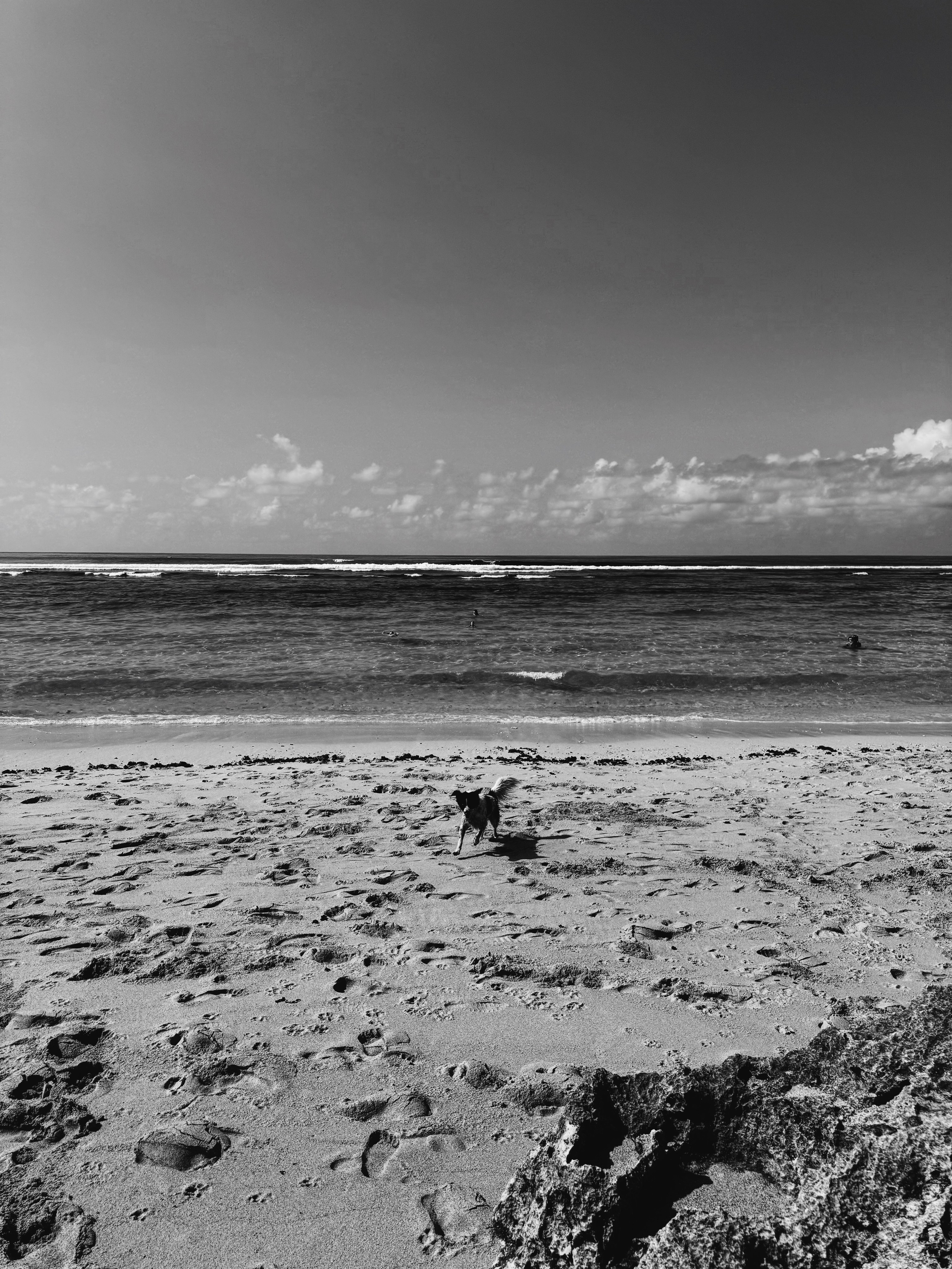 Elements. Carolinetru