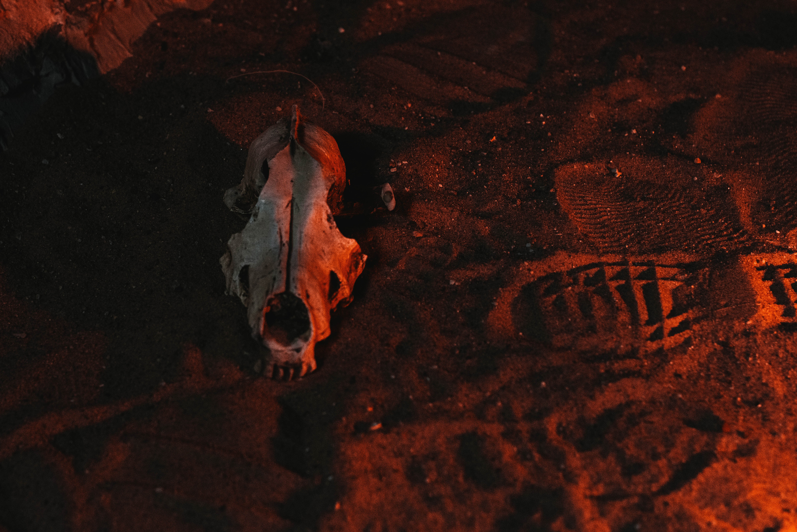 Квест Рыбинск. Фотограф в Ярославле