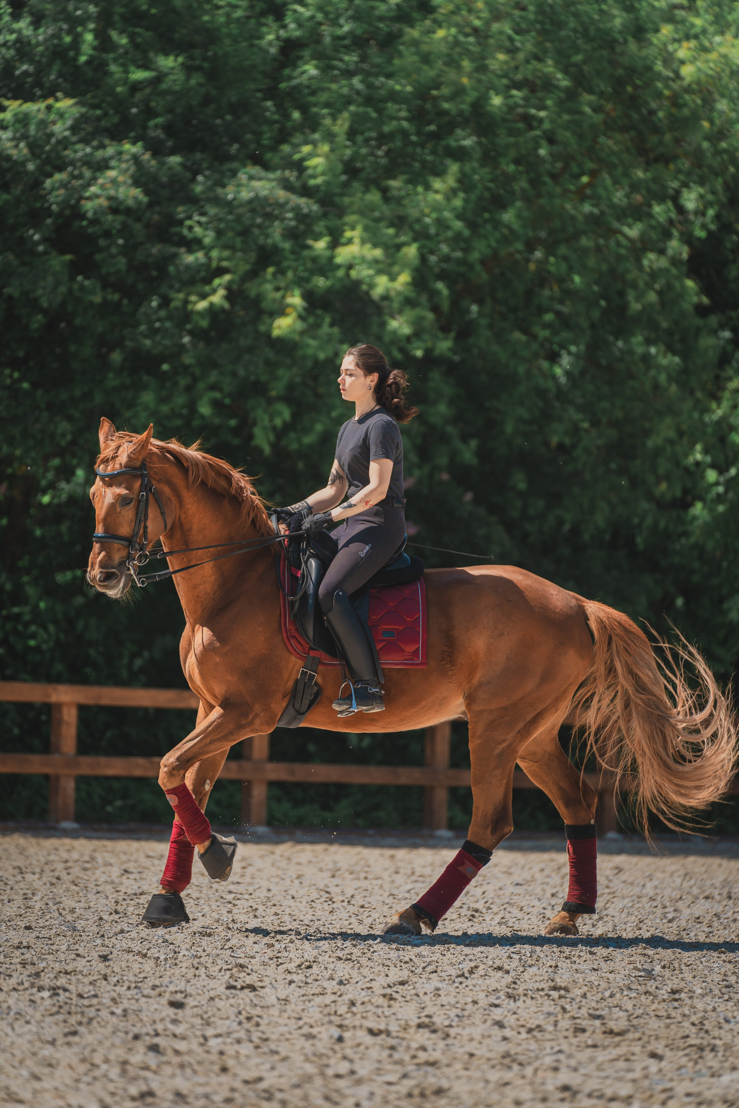 Валерия и Ланселот. Тренировка по выездке. КСК «Урожай». Фотограф в Москве Ленарская Дарья