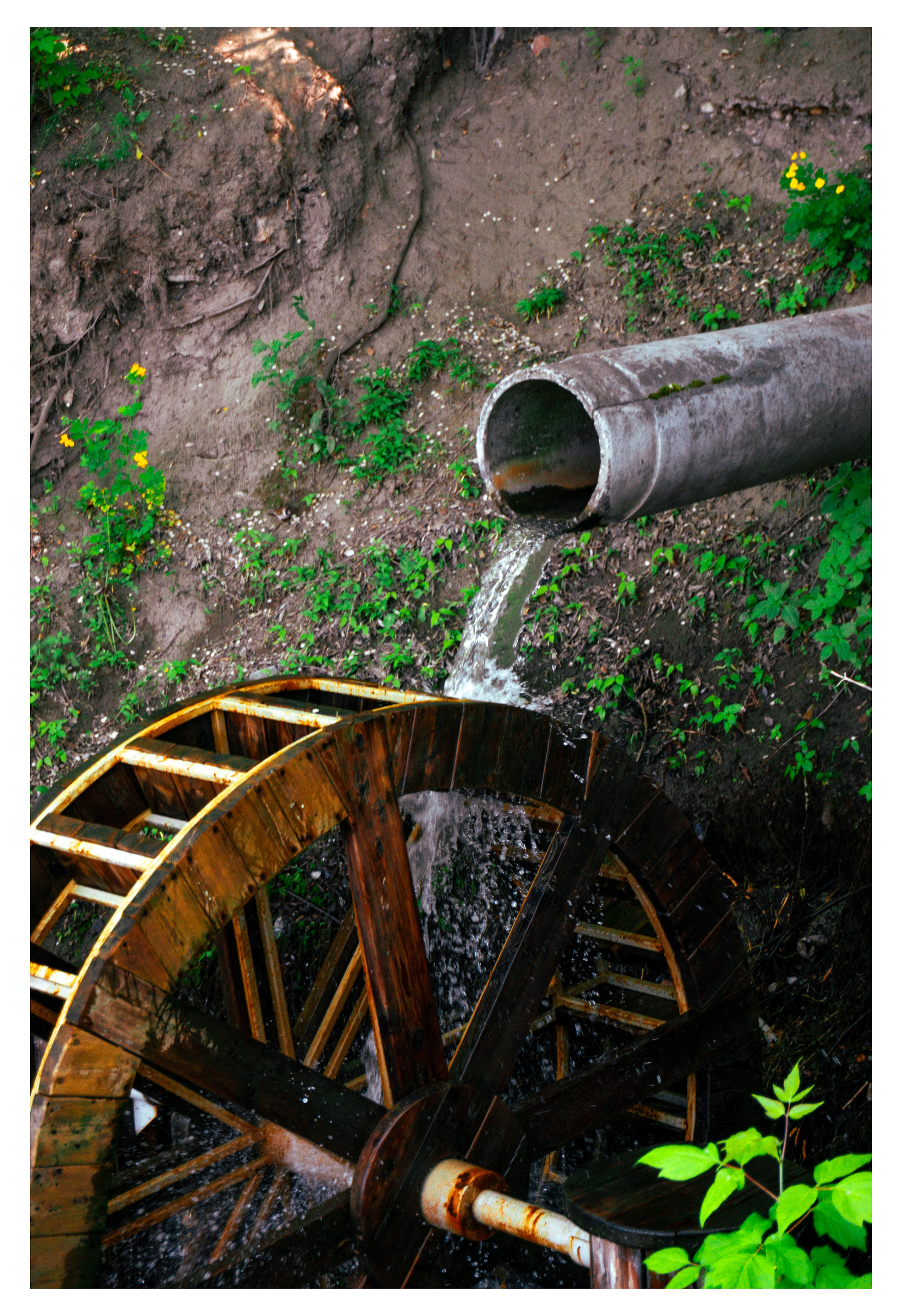 05.06.2025 | Красноярск. Kuznetsov | Фотограф в Красноярске