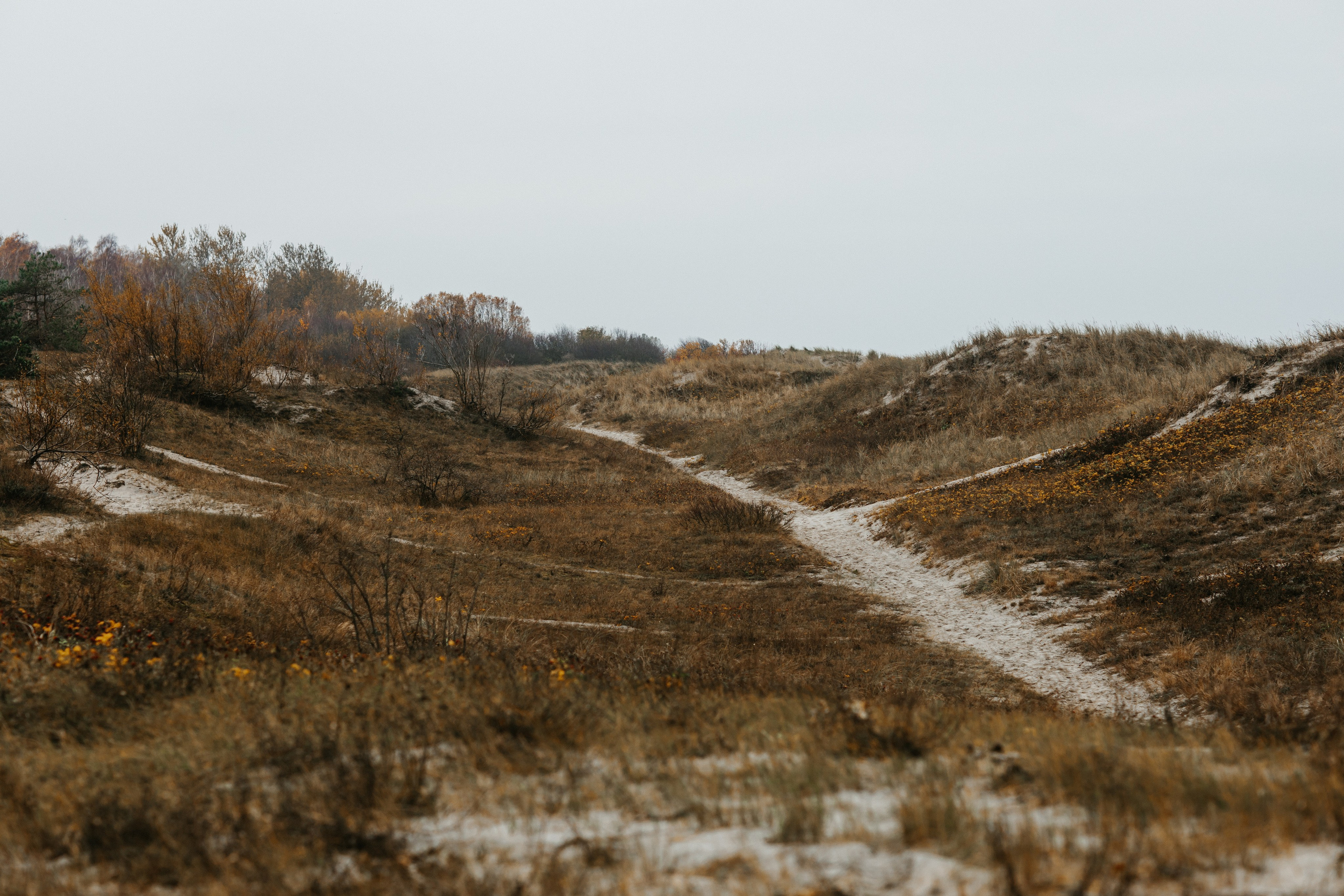 Балтийск/Калининград. Свадебный и семейный фотограф/видеограф в Краснодаре Наталья Осинская