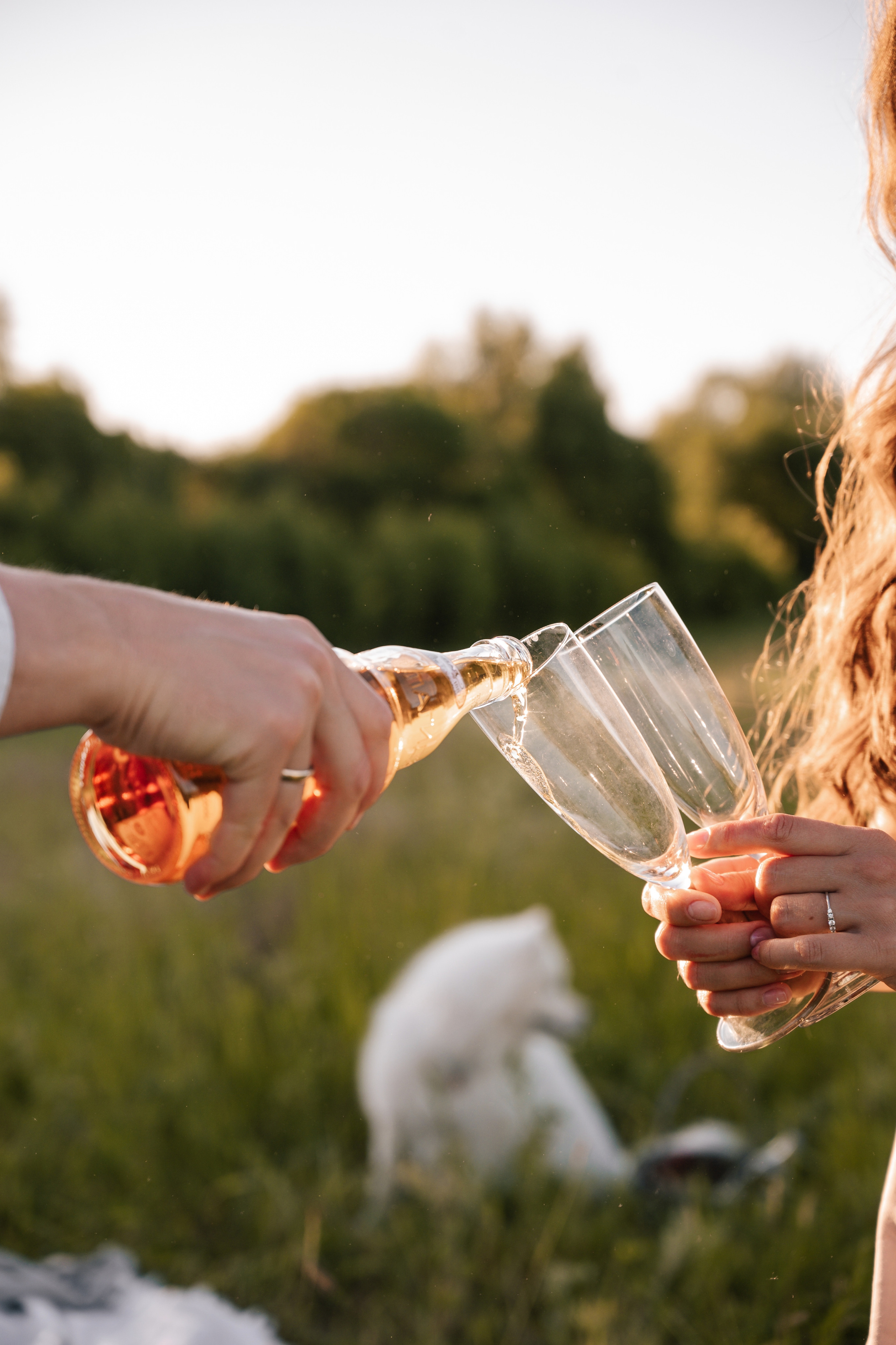 Сычевы. Свадебный и семейный фотограф Вероника Холод