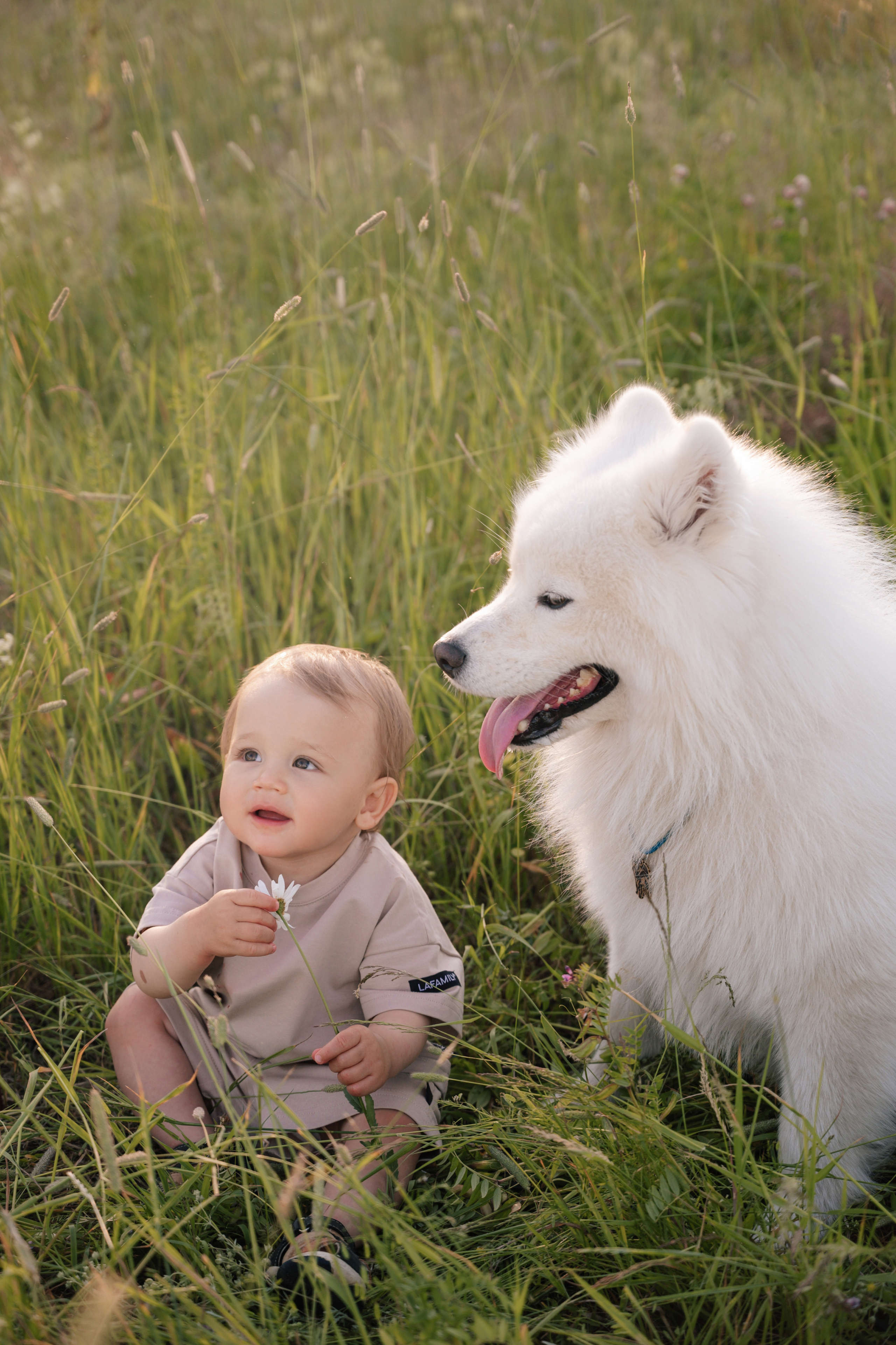 Сычевы. Свадебный и семейный фотограф Вероника Холод