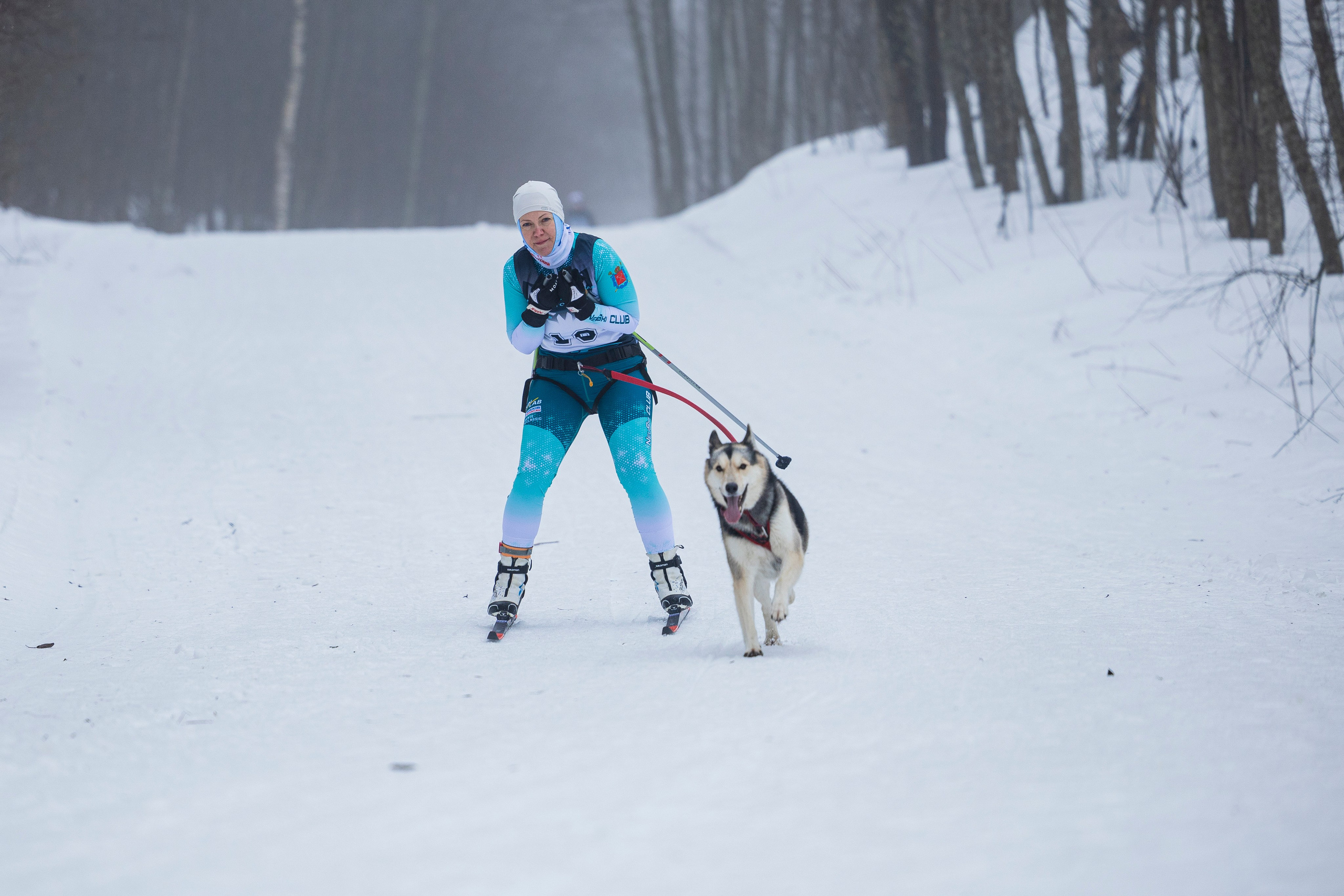Зимний Чемпионат Санкт-Петербурга по ездовому спорту. Фотограф-анималист Анна Маринич