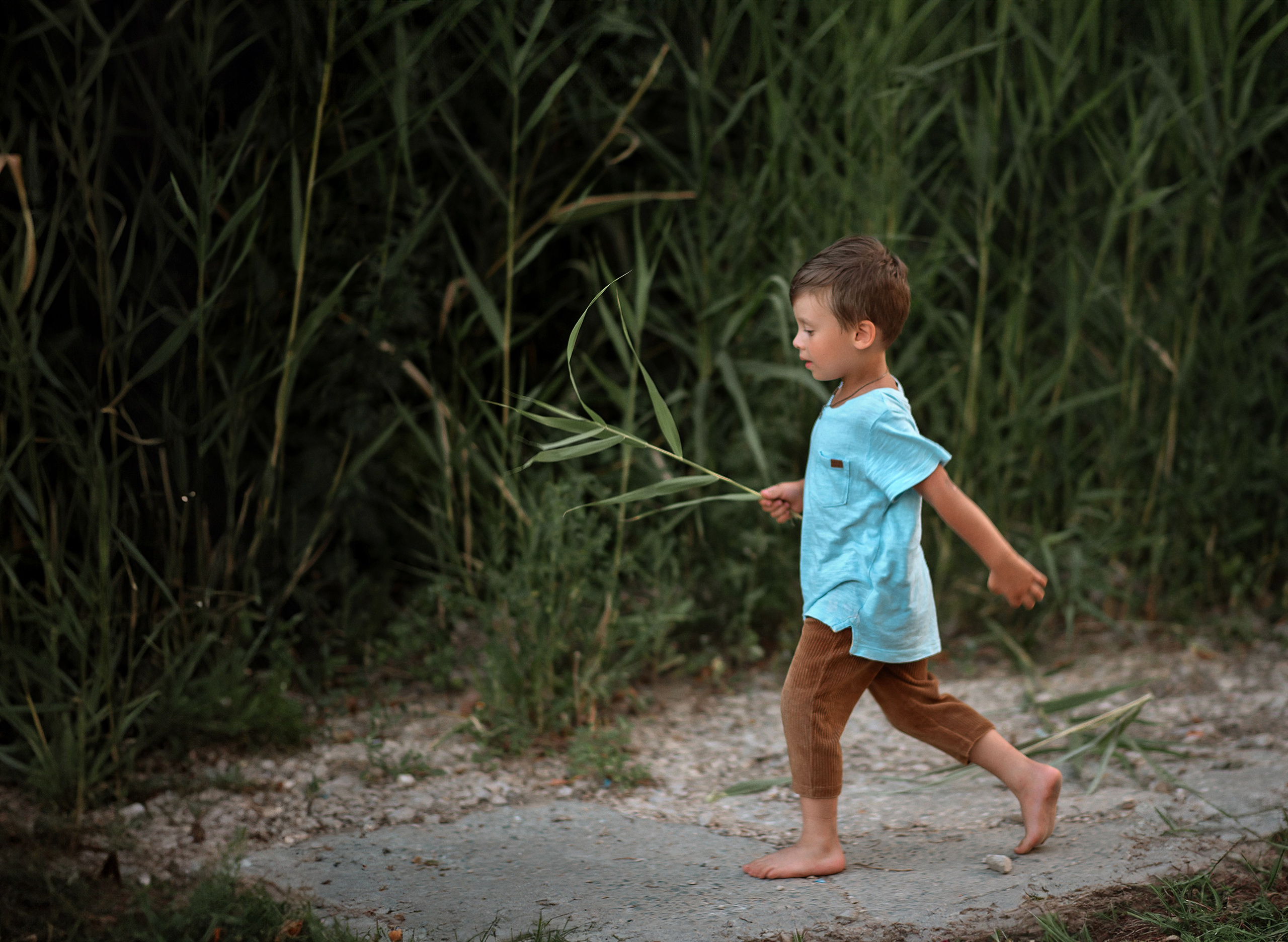 Детская и семейная фотография. Семейный и детский фотограф в Серпухове Сергеенко Ольга