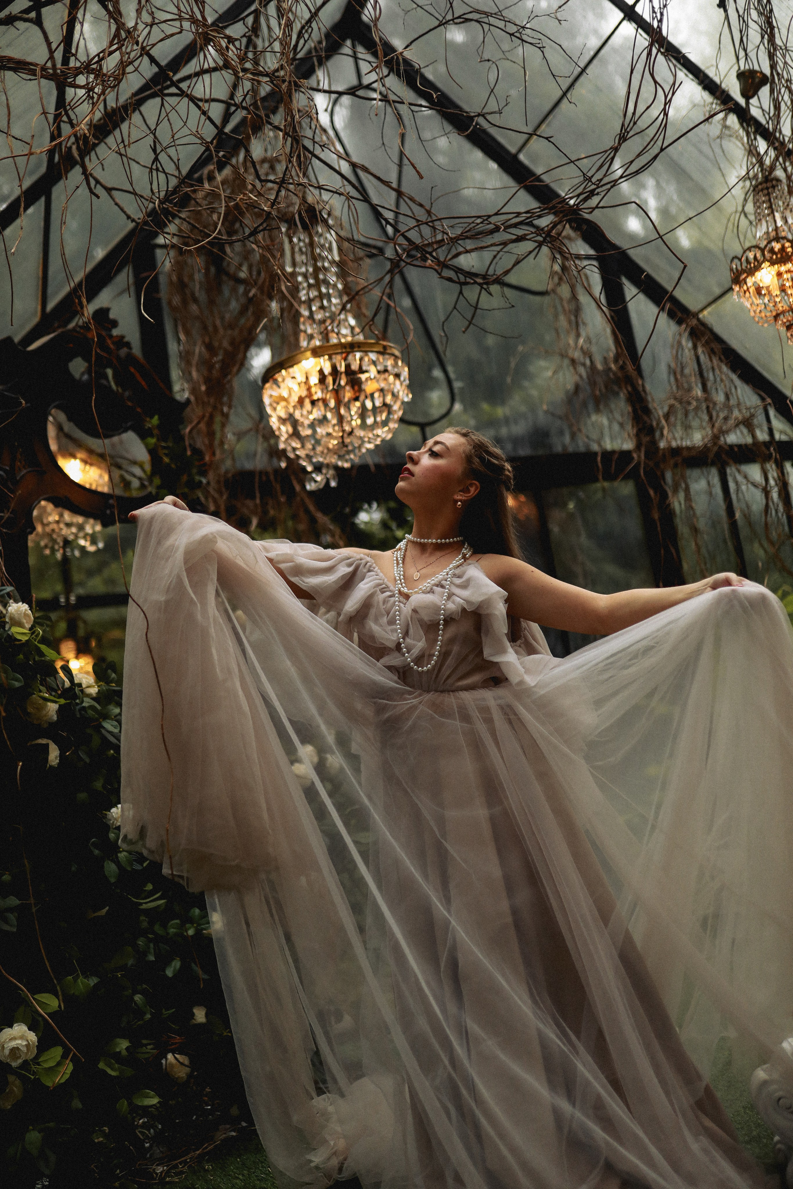 Зачарованный лес