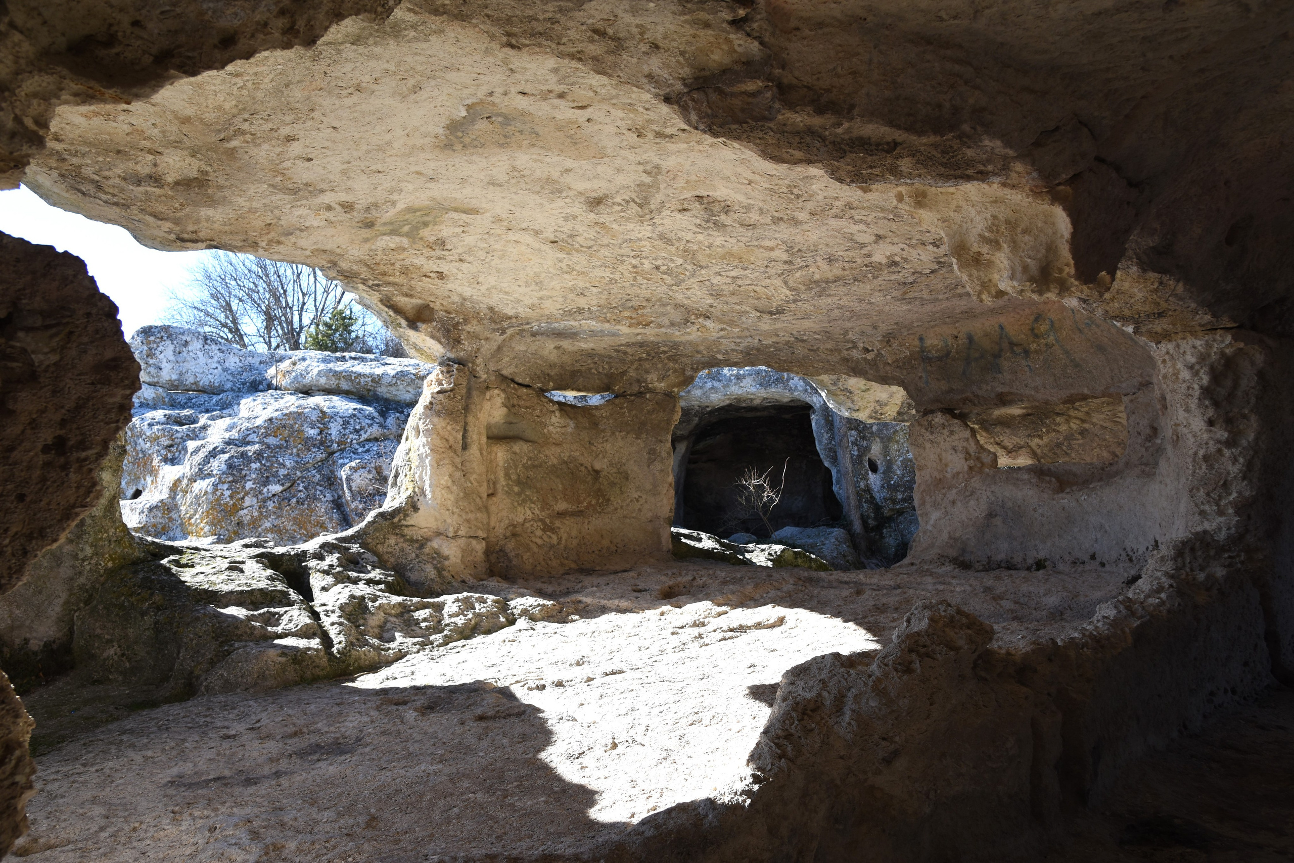 И это все о нем. Созерцатель. фотографирую что тронуло и впечатлило. самарская область