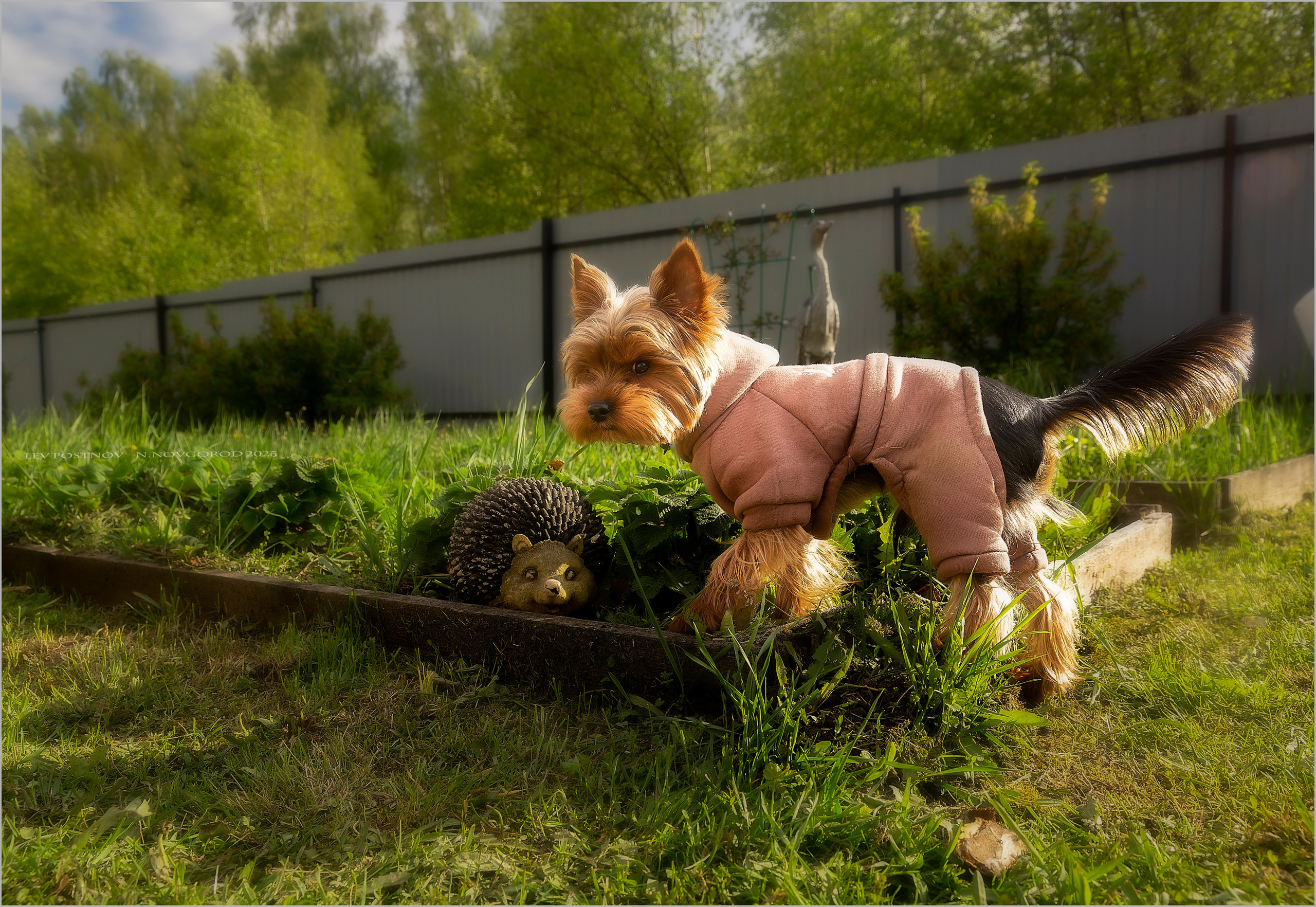 Тофик. Лев Постнов.Фотограф. Нижний Новгород