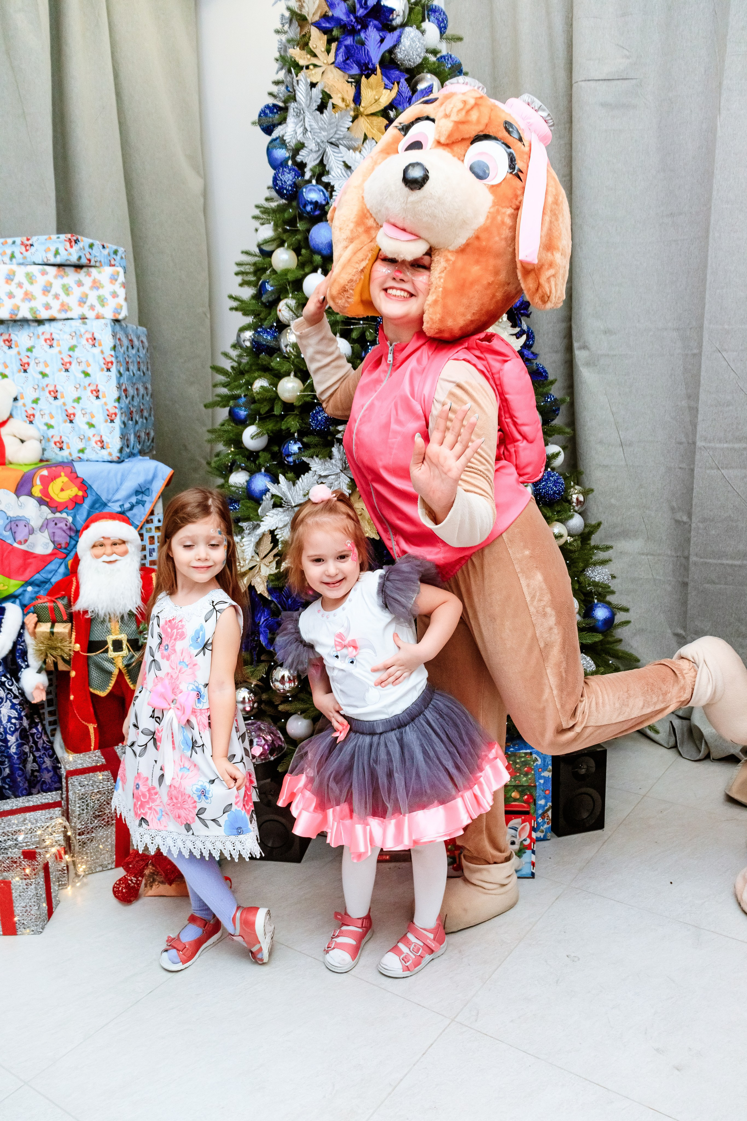 Знайка. Щенячий новый год. Фотограф — Новосибирск
