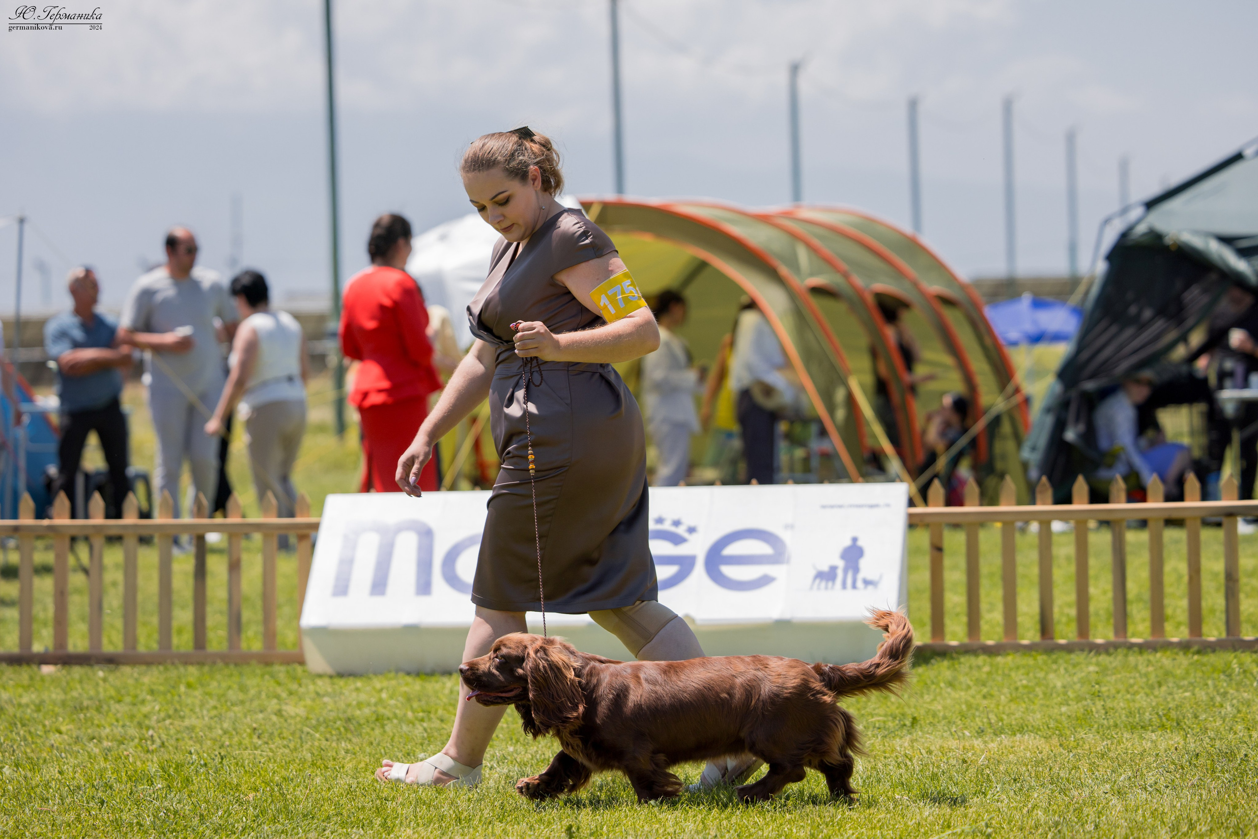 Ереван 3-5.06.2024. Фотограф-анималист Юлия Германика