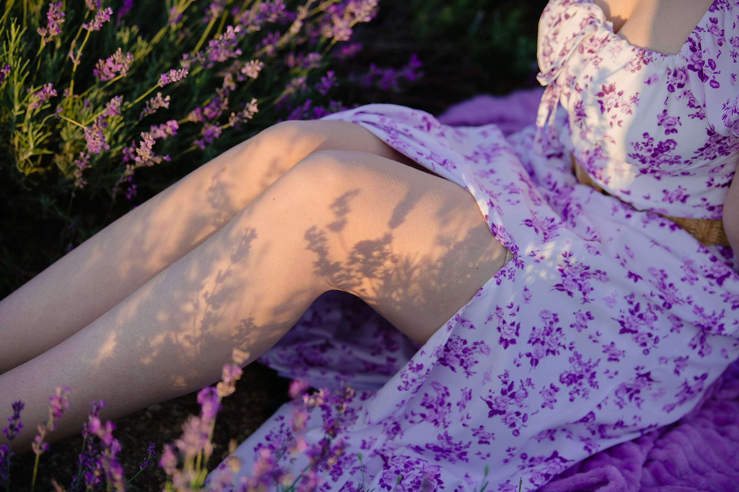 Лаванда. Свадебный и семейный фотограф в Москве Елена Новикова