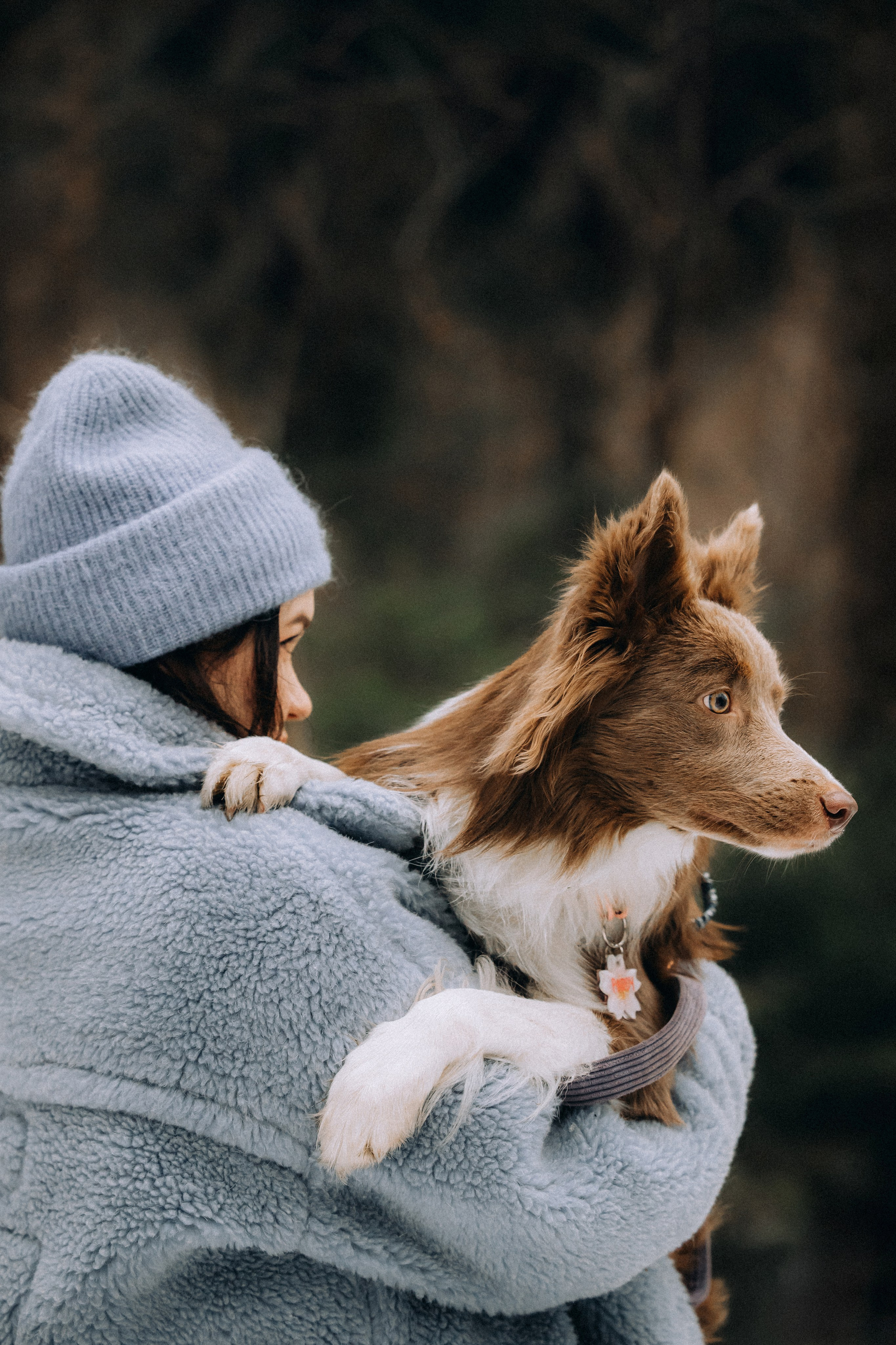 Полина, Милли и Паддингтон