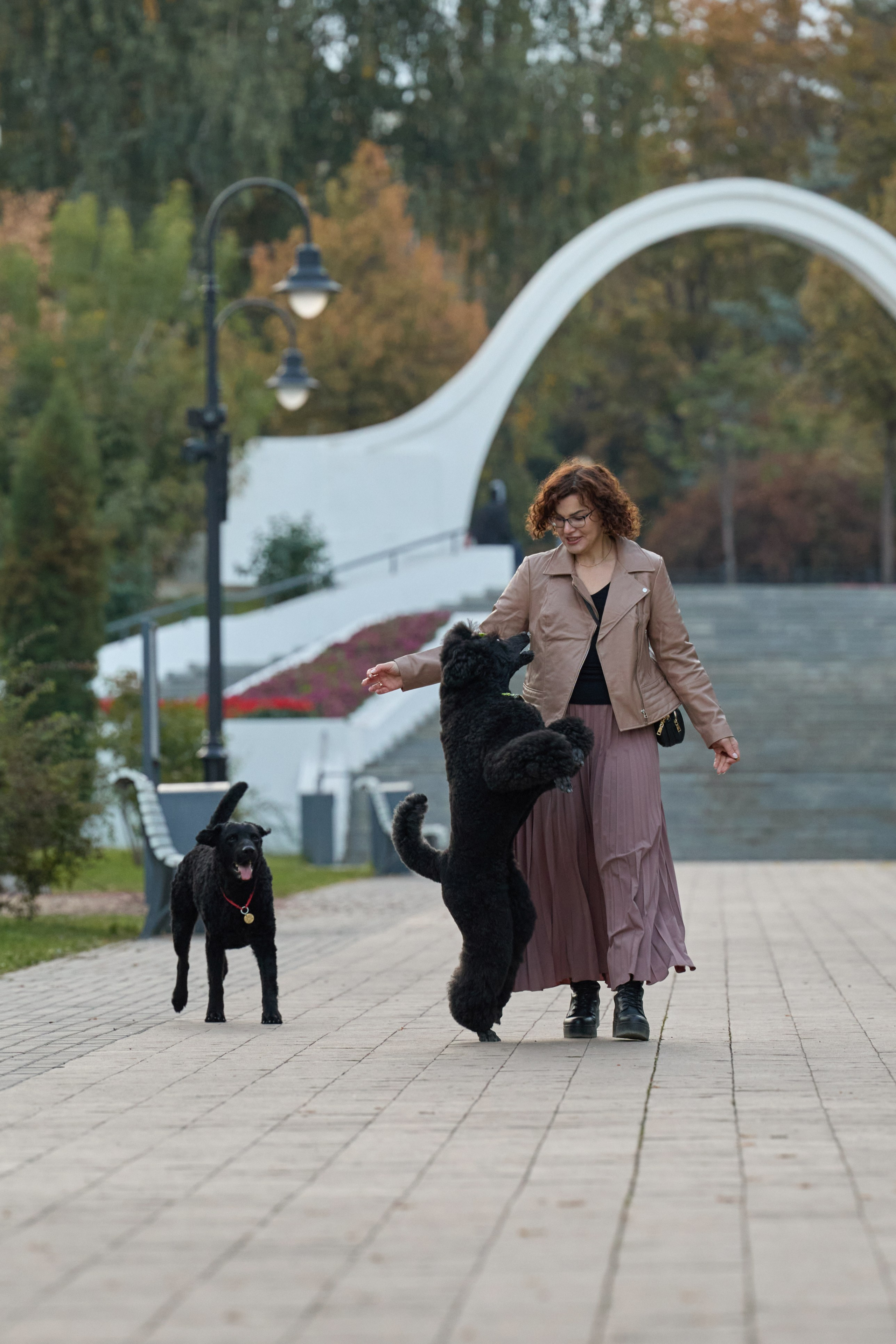 Альбина. Марфа и Мистик. Прогулка в парке. Фотограф анималист в Казани Алина Сулейманова. Фотограф животных