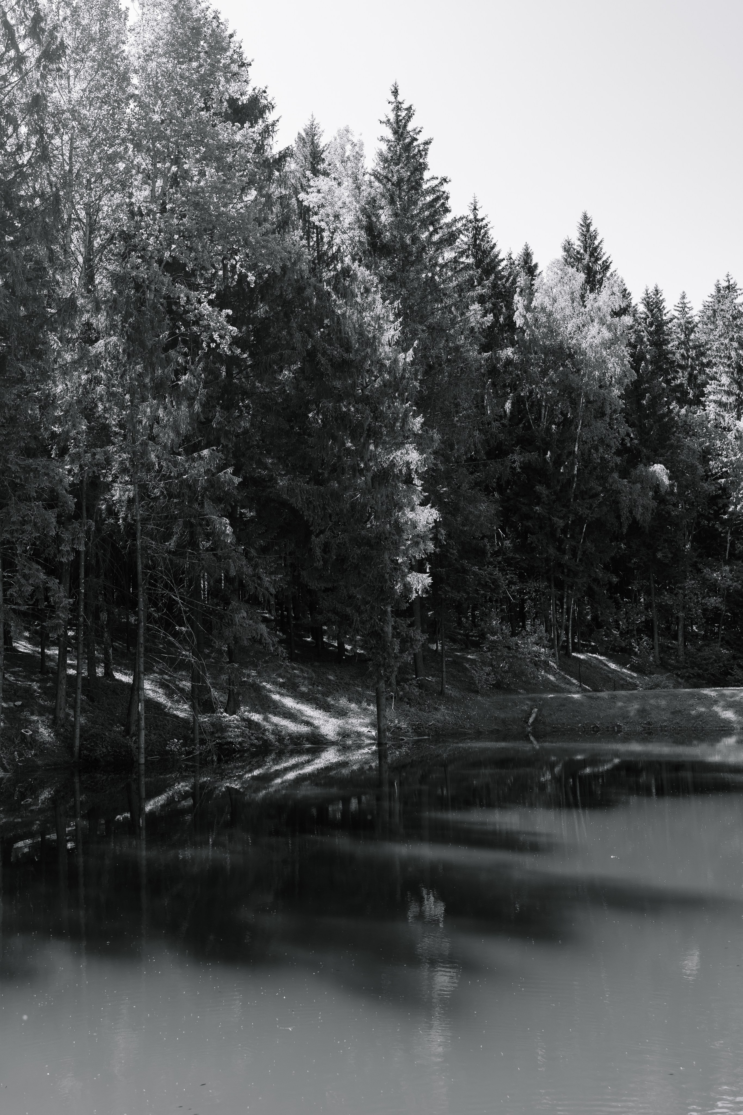 Александр/Кристина. Свадебный фотограф