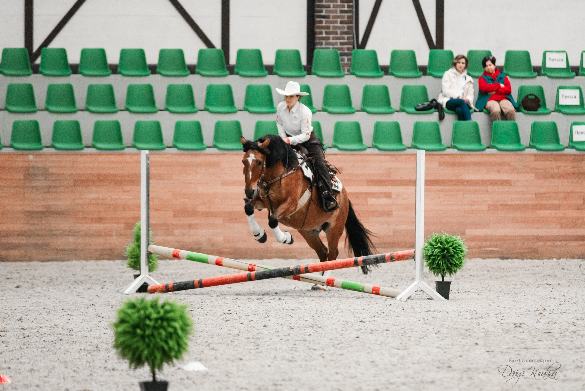 8-я международная выставка Конная Россия. Конный фотограф Куракина Дарья • Фотосессии с лошадьми