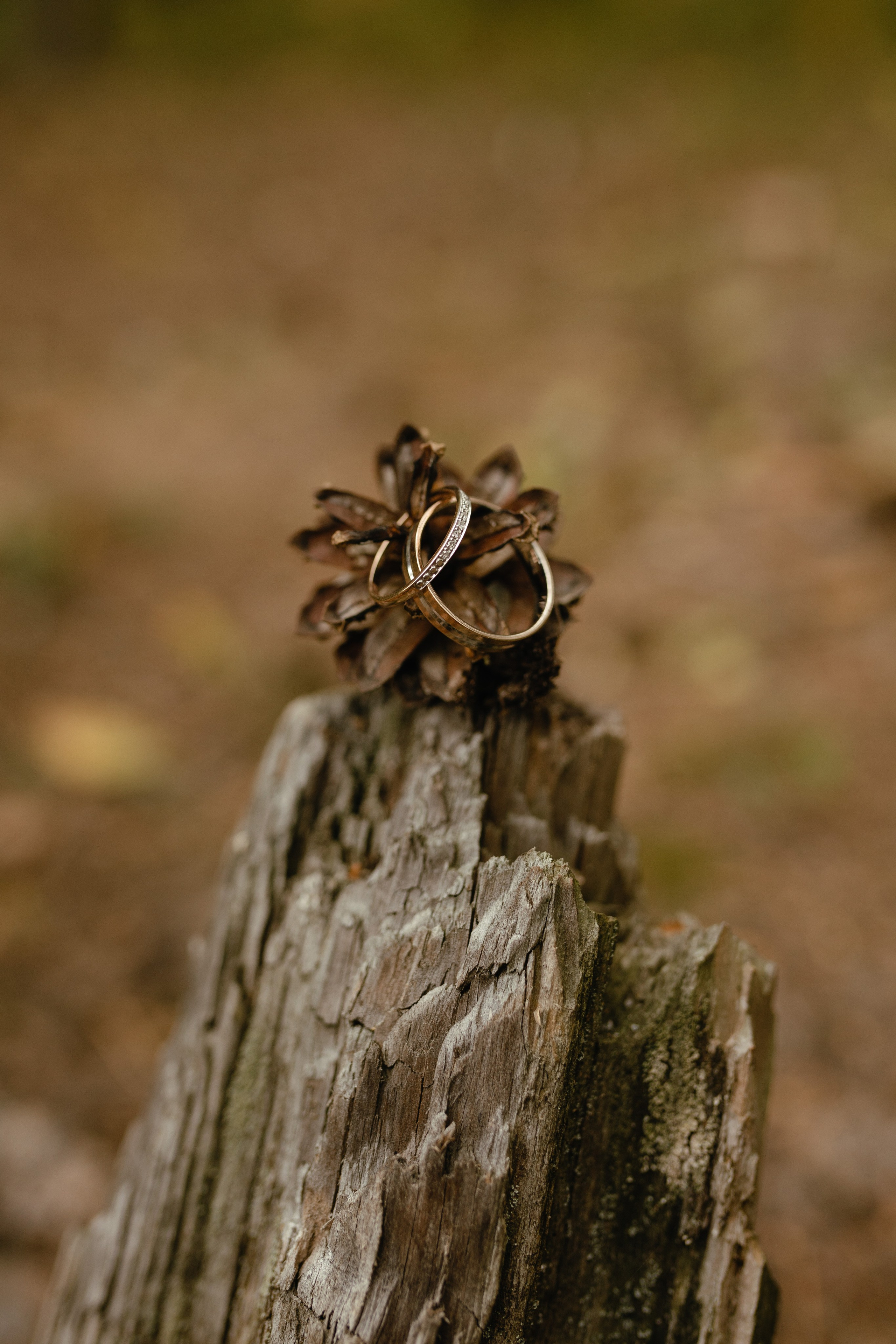 Игорь и Евгения. Свадебный и семейный фотограф во Владимире Белашова Анастасия
