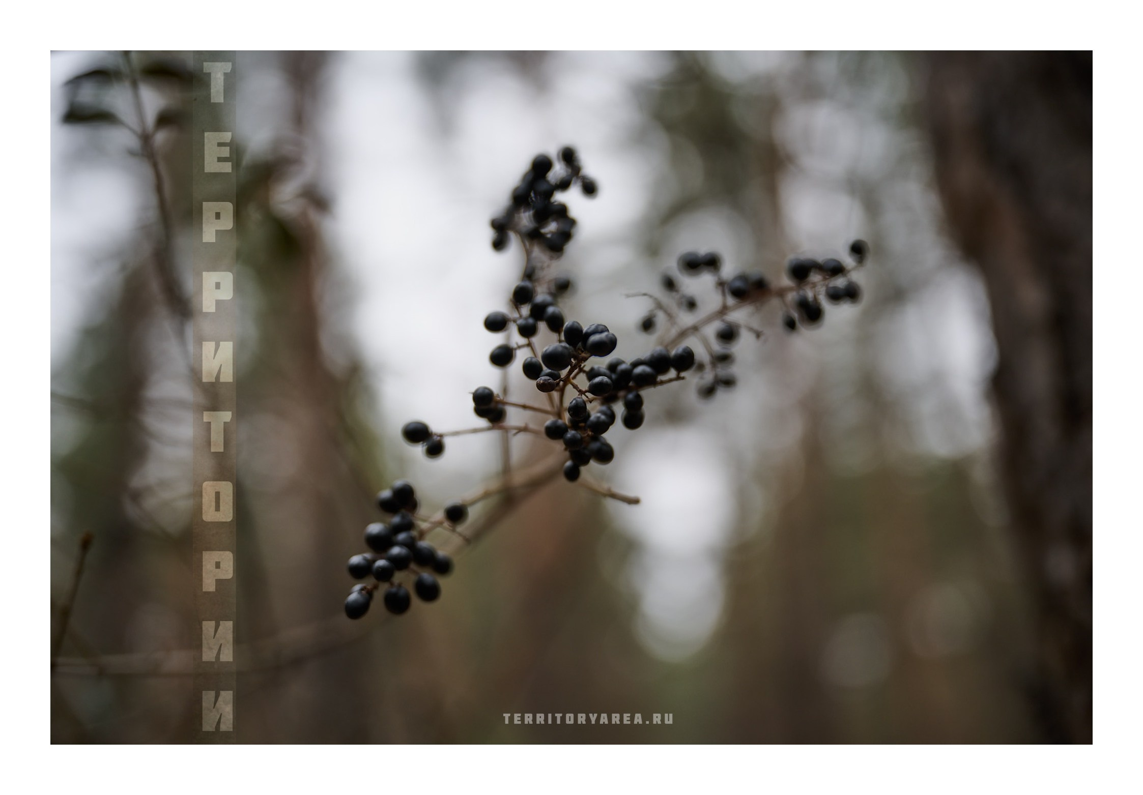 Фотопринты А3. Фотопроект «Территории»