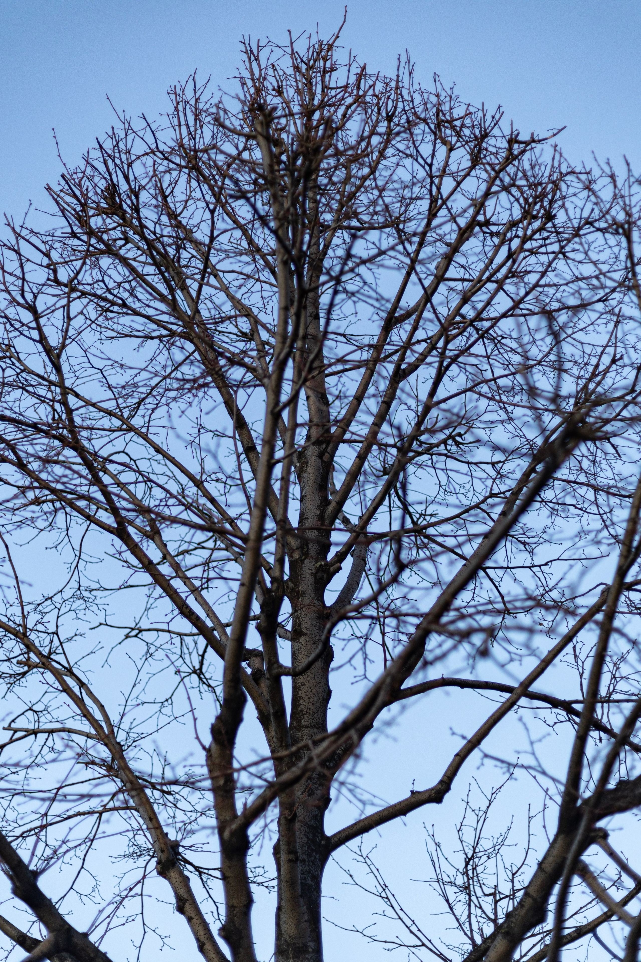 MSK. Фотограф Александр Глебов