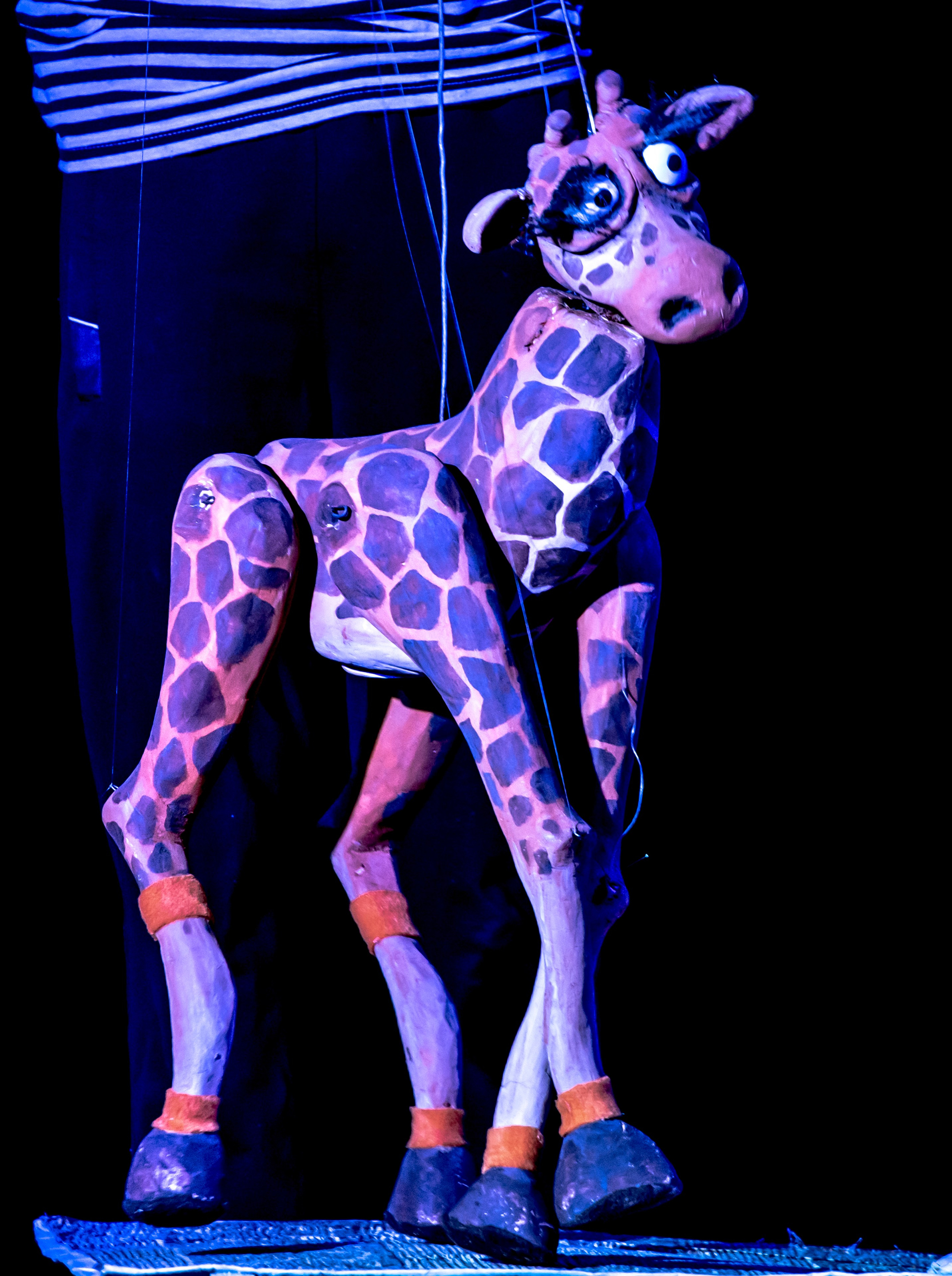 Жирафа и носорог спектакль театра Саквояж. Фотограф в Сочи Юрий Шептаев