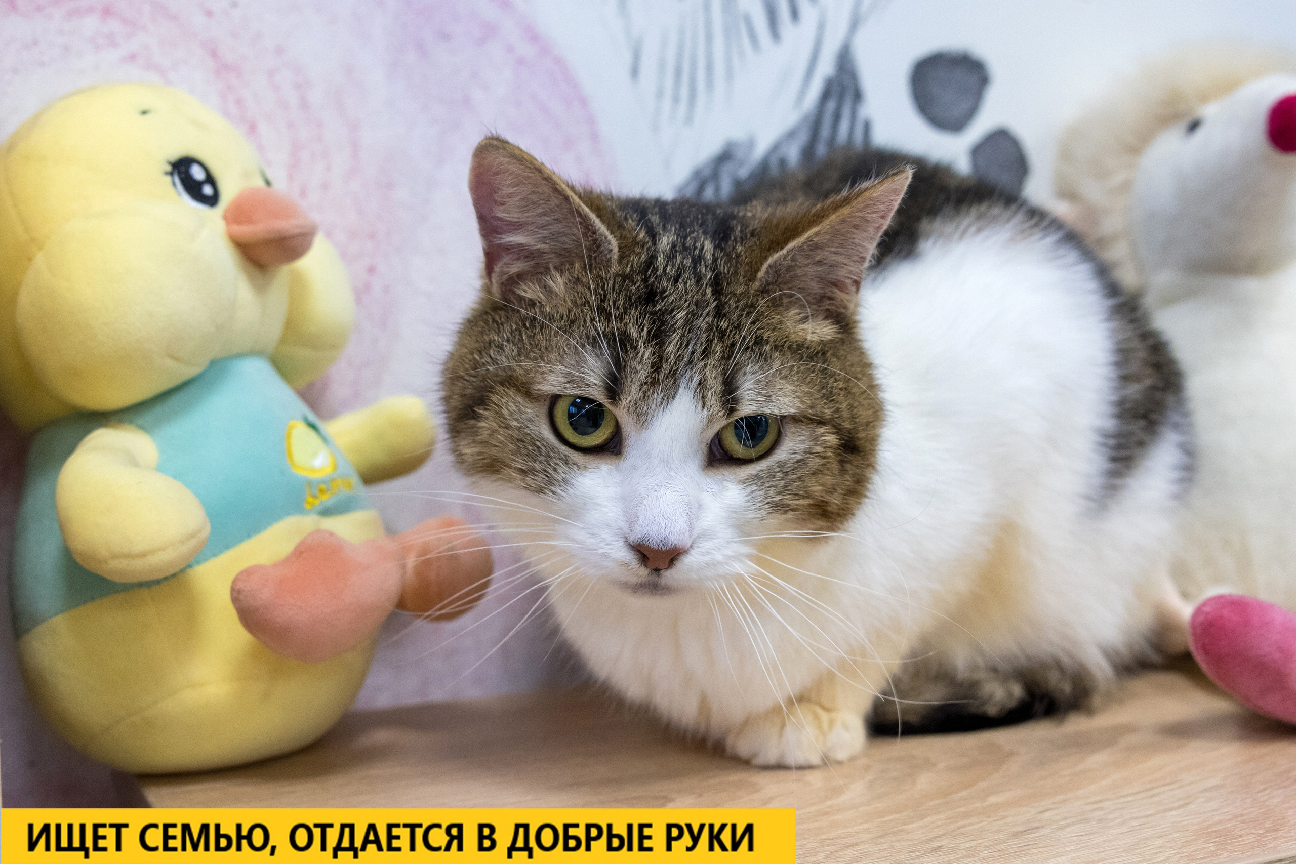 Рекламная съемка в Москве. Геннадий Степанов —фотограф в Москве