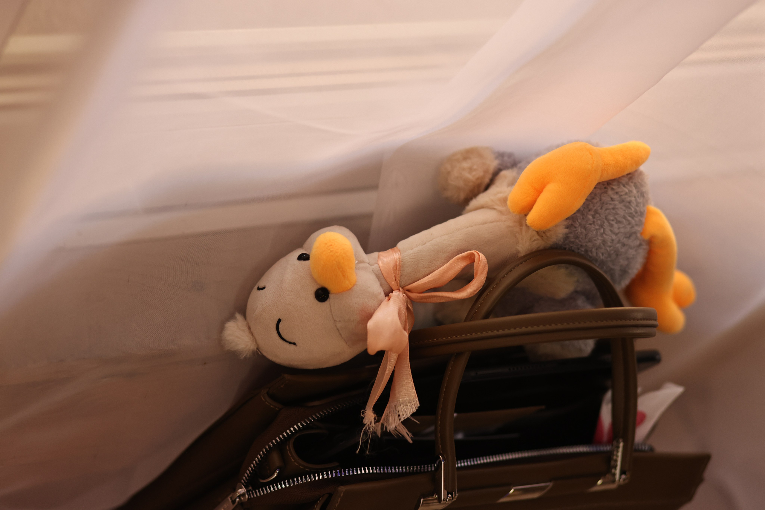 Юбилей Елена. Семейный фотограф в Вышнем Волочке — Ульяна Иванова | Фотосессии для всей семьи