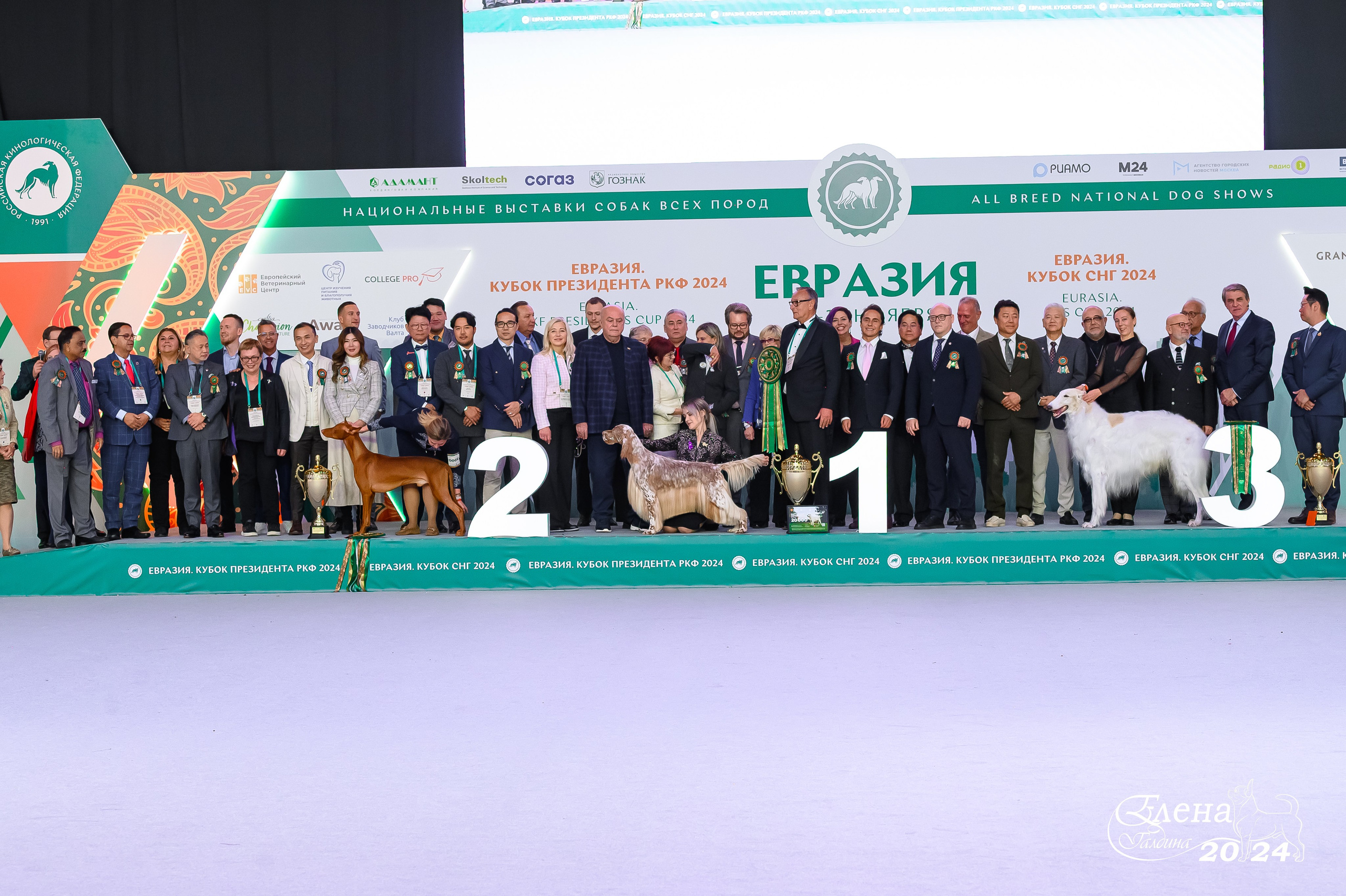 Главная. Фотограф анималист Елена Галдина г. Красноярск