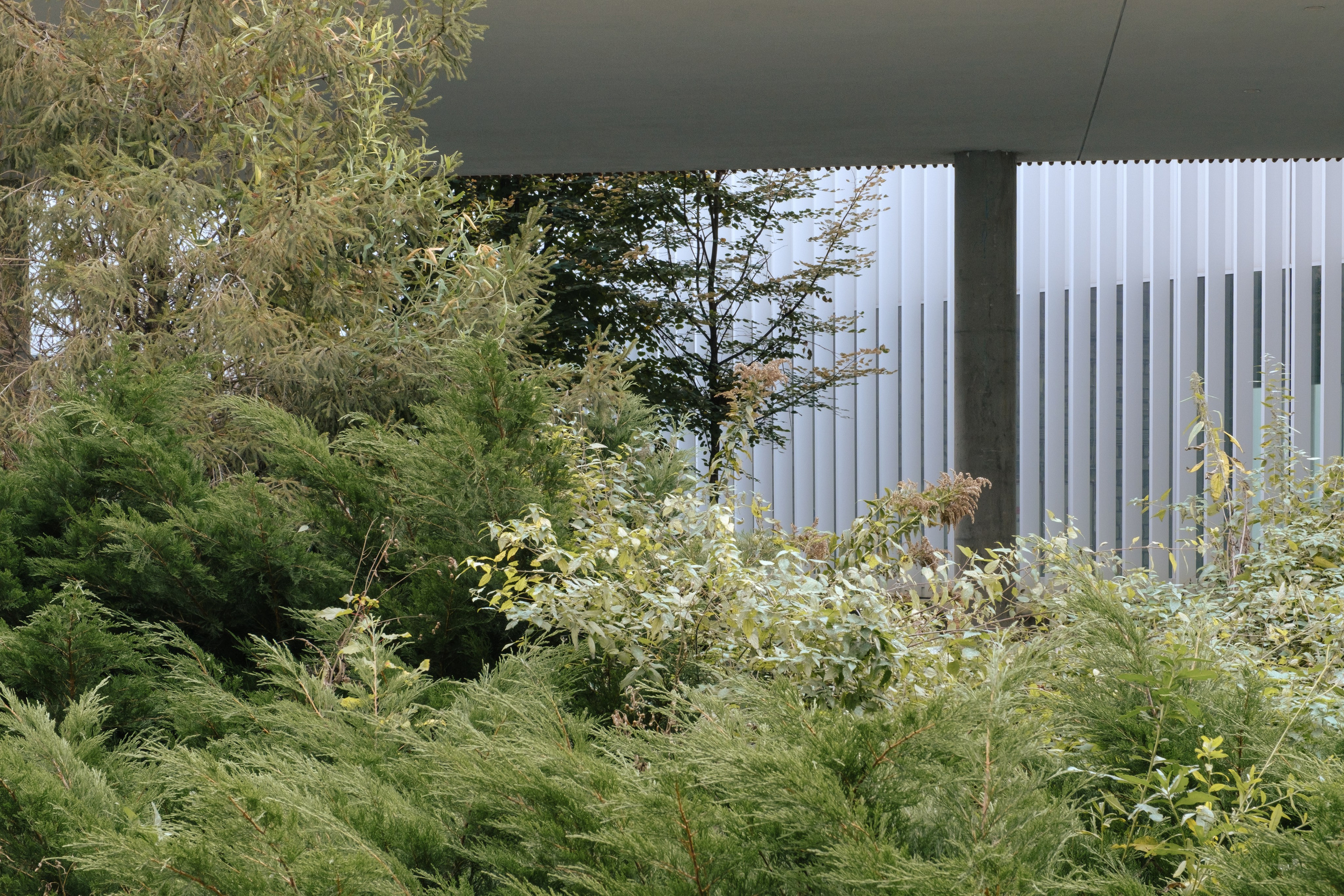 Сколтех, 2025. Фотограф и исследователь городской среды Ксения Русс