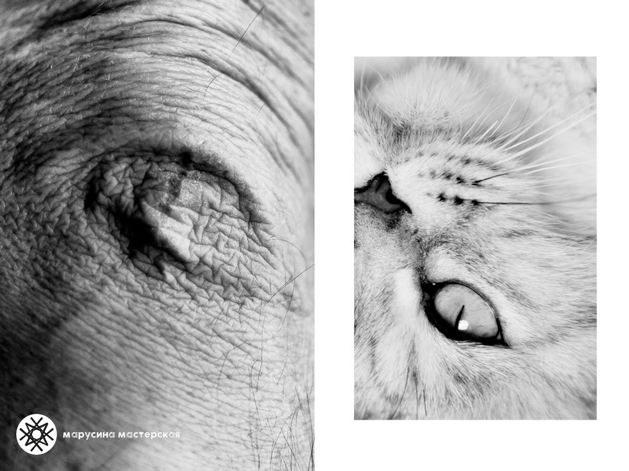 Творческая фотография, снятая в рамках зимней творческой практики, автор — Ирина Савицкая