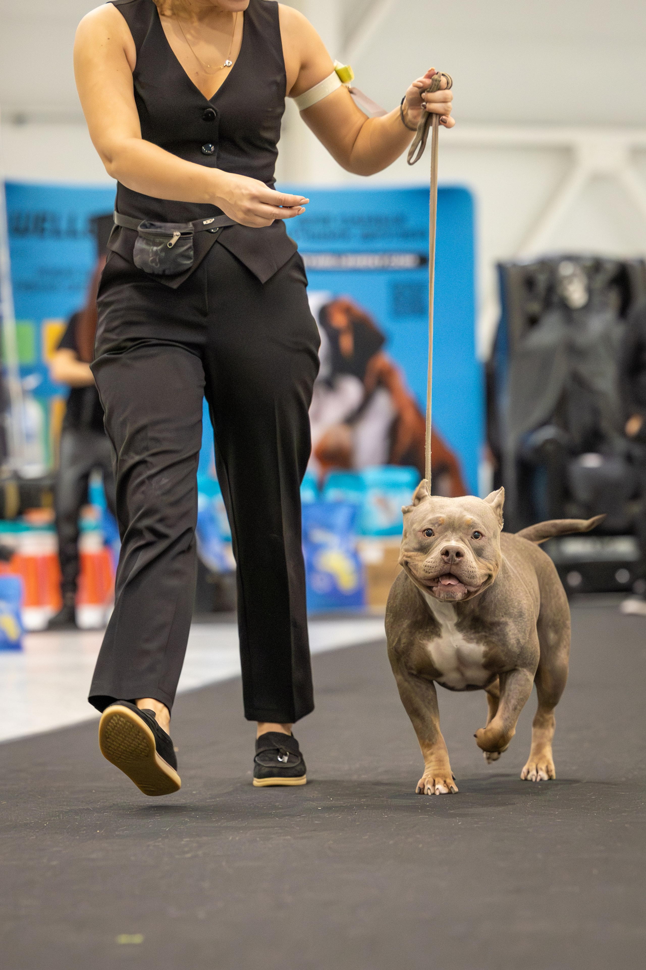 АВКС. Виктория Михайловская. Фотограф-анималист. Москва
