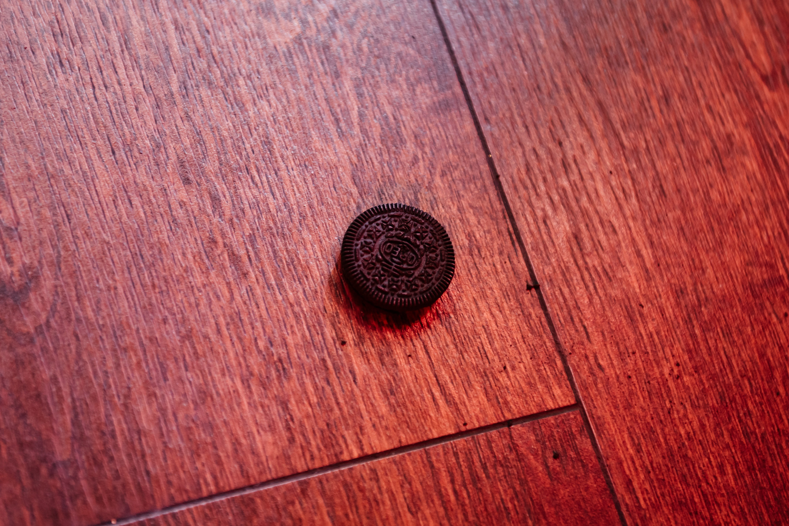 Фан Рок Фестиваль. Свадебный фотограф Иркутск Алексей Шульгин