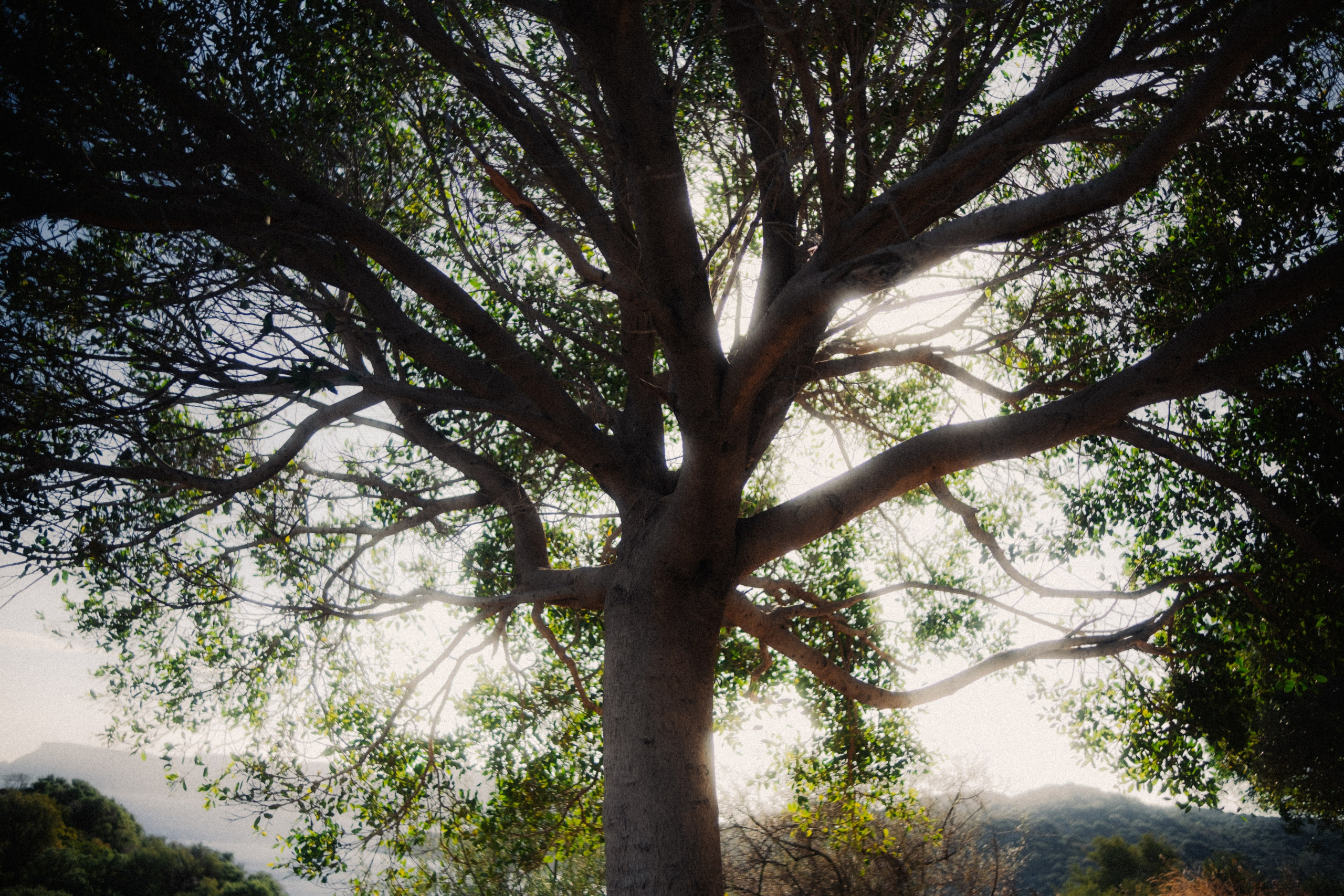 Стрит. Фотограф Валентина Кондрасюк в Санкт-Петербурге
