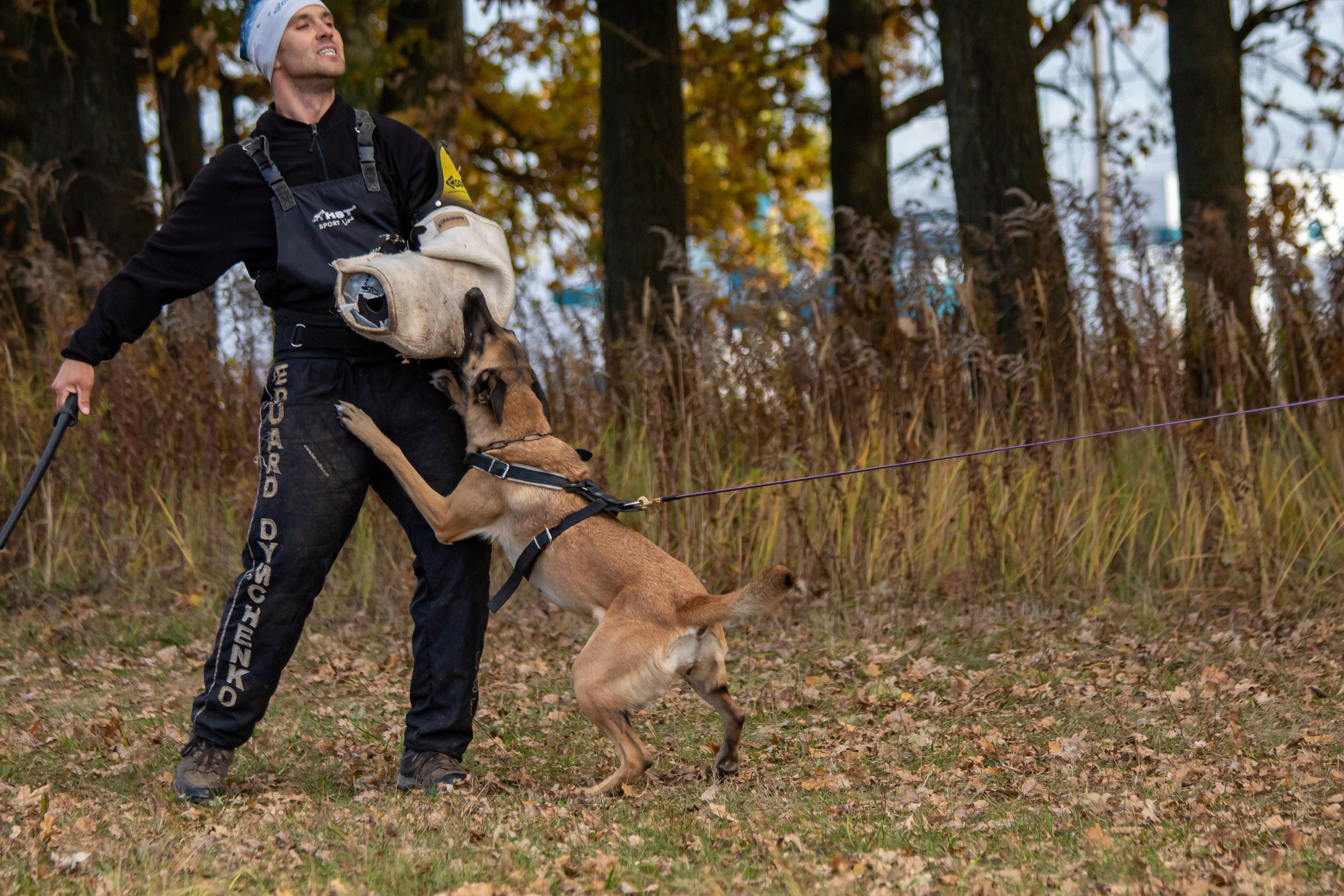 Тренинг защитного раздела. Фотограф анималист — Тула, Москва